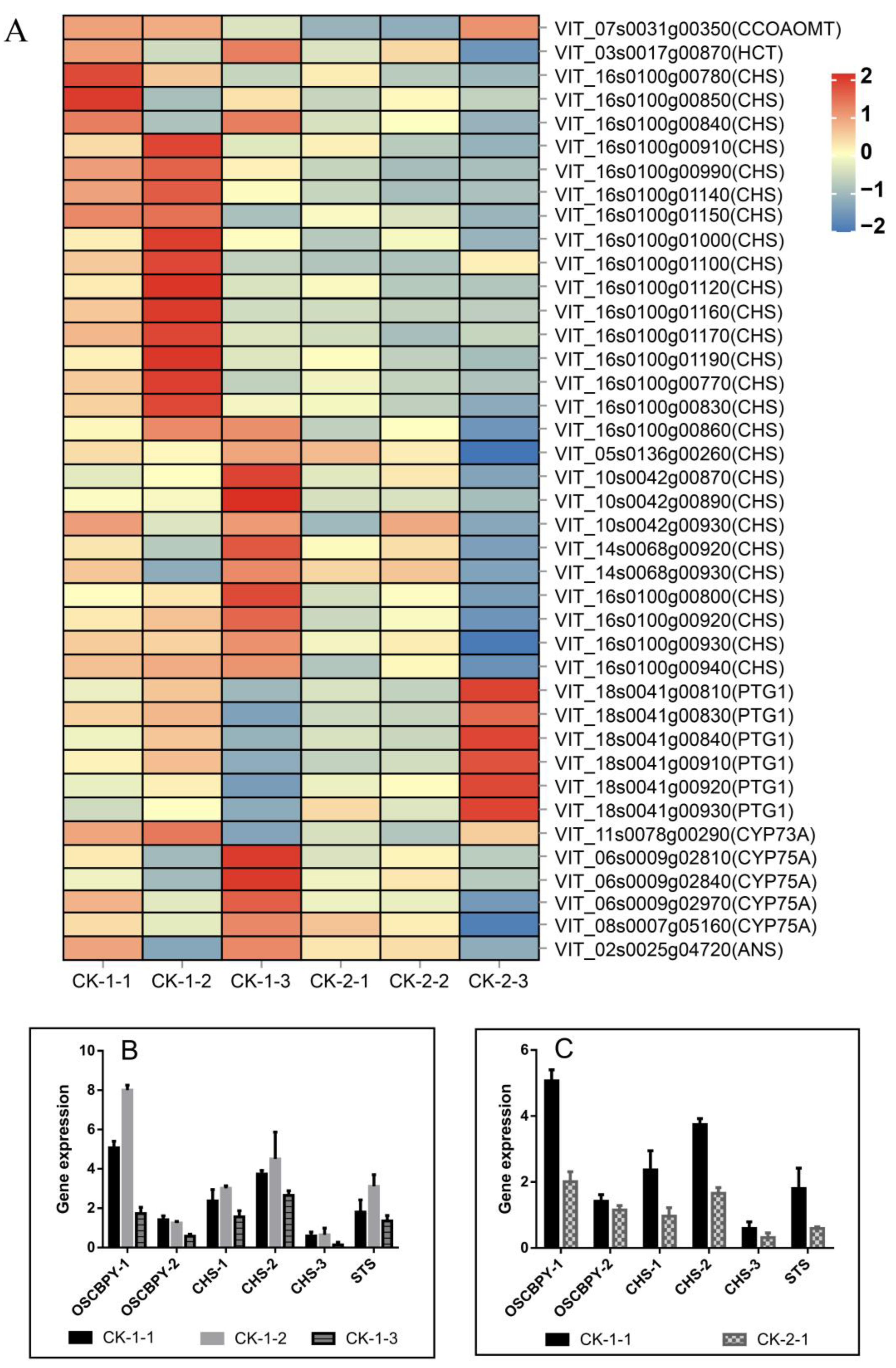 Ijms 24 03884 g008 Ijms 24 03884 g008