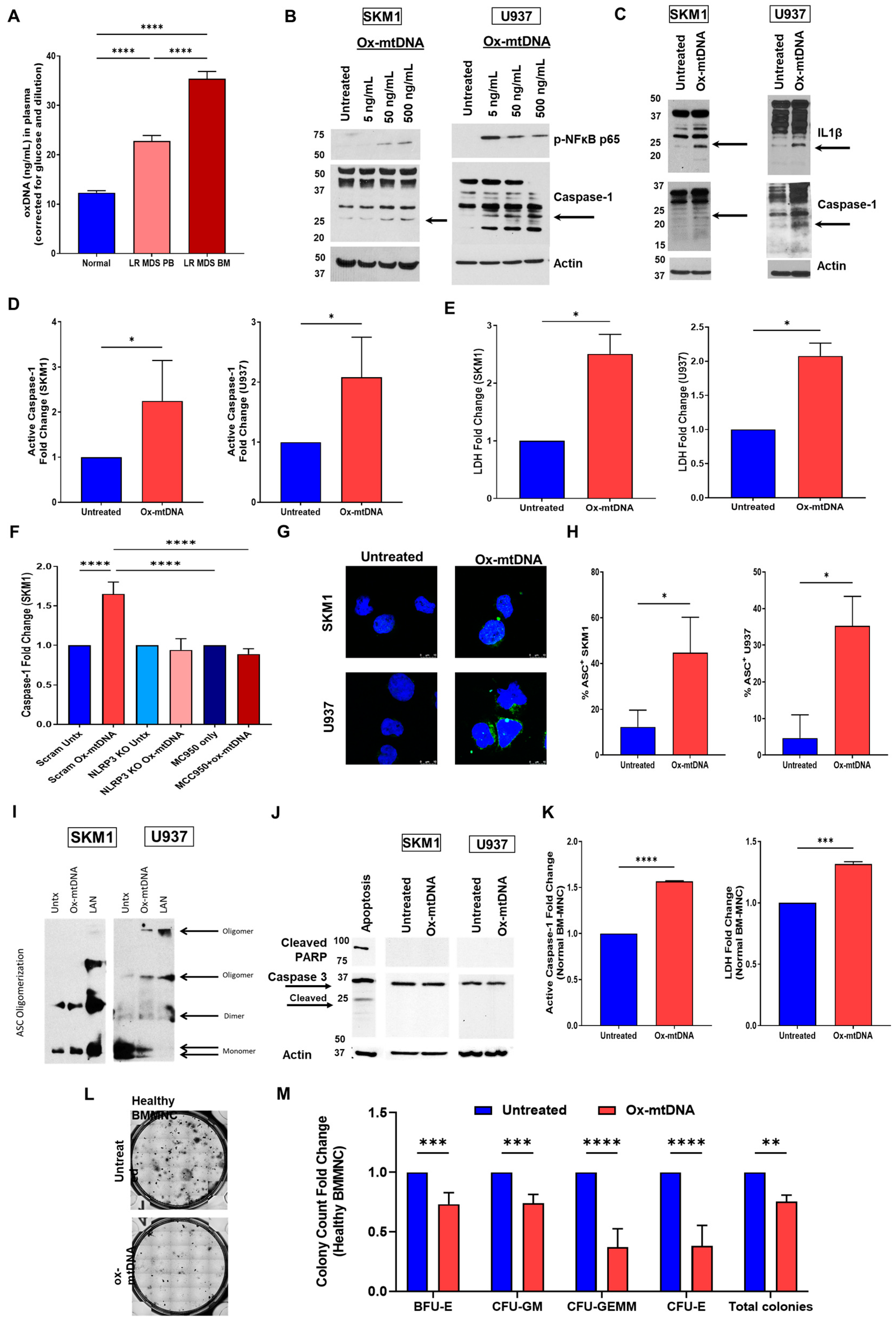 Ijms 24 03896 g001 Ijms 24 03896 g001