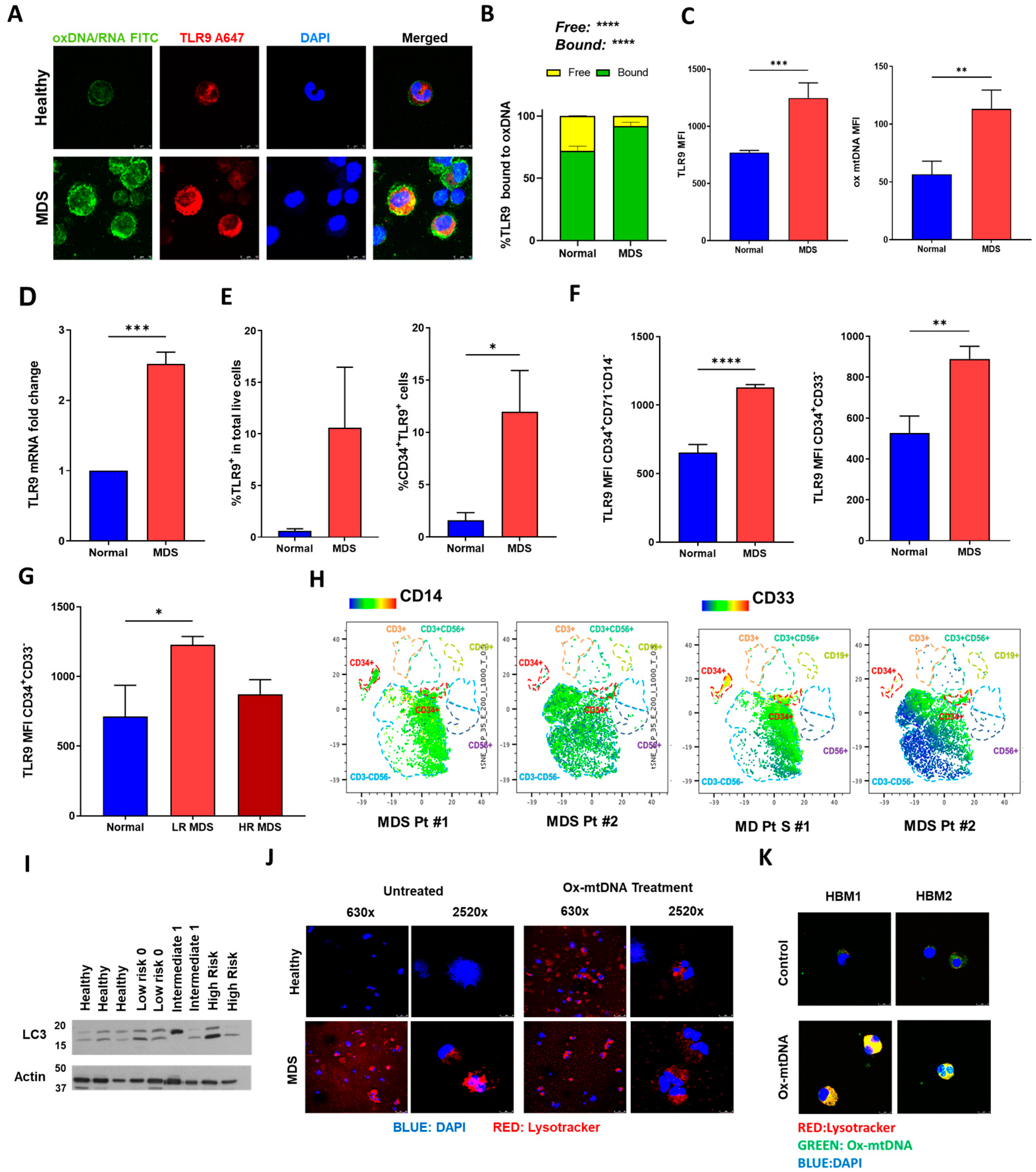 Ijms 24 03896 g002 Ijms 24 03896 g002