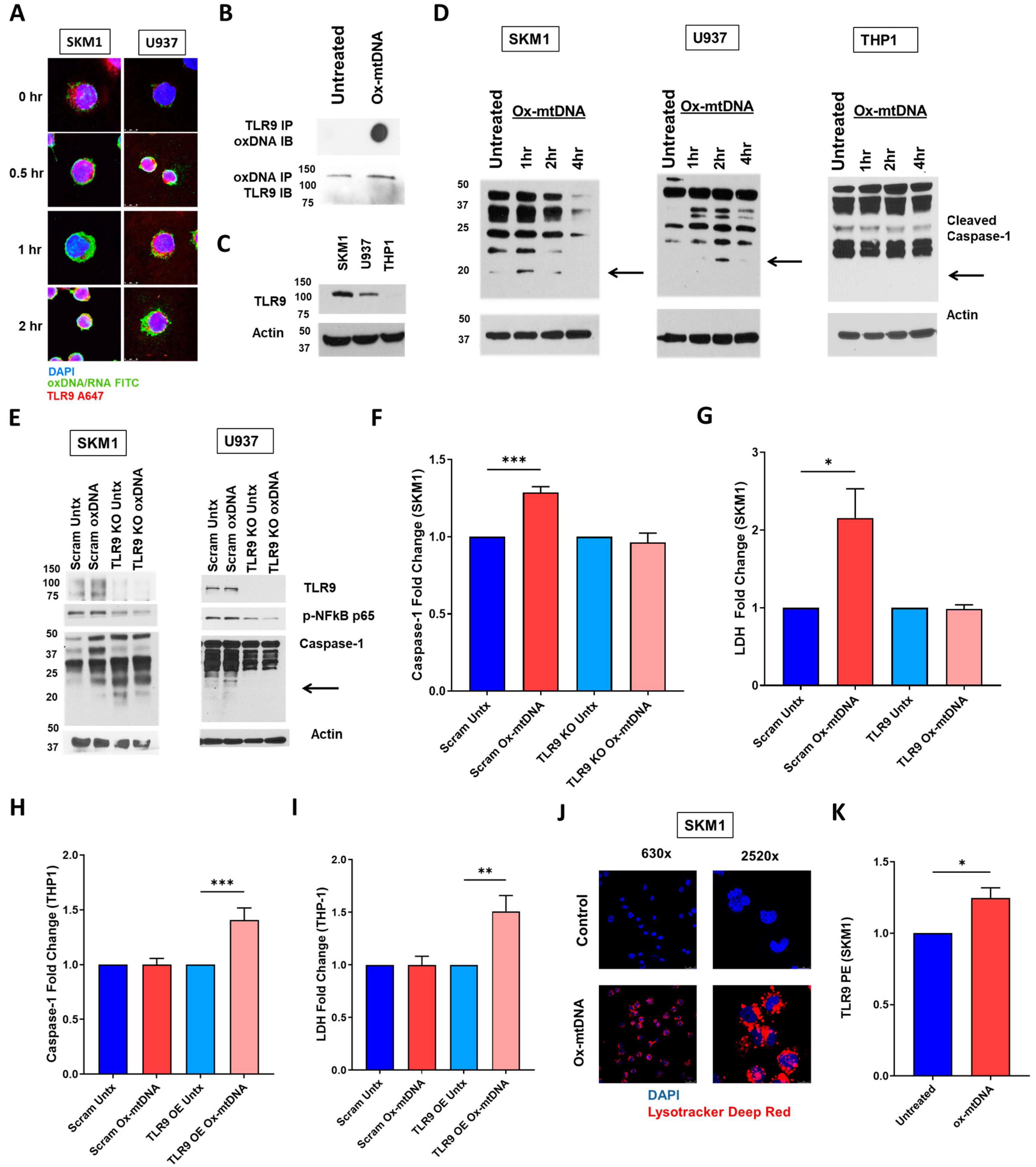 Ijms 24 03896 g003 Ijms 24 03896 g003