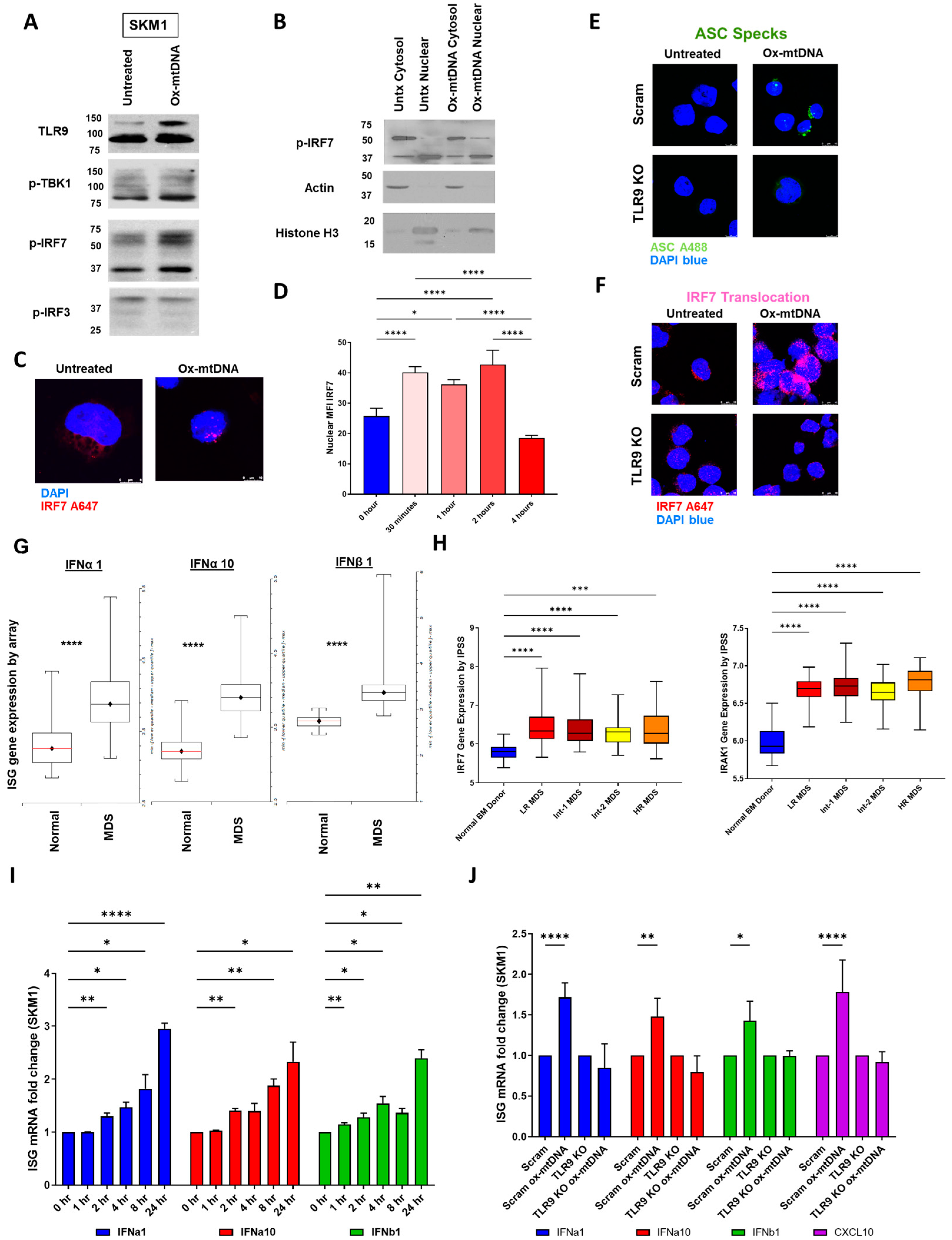 Ijms 24 03896 g004 Ijms 24 03896 g004