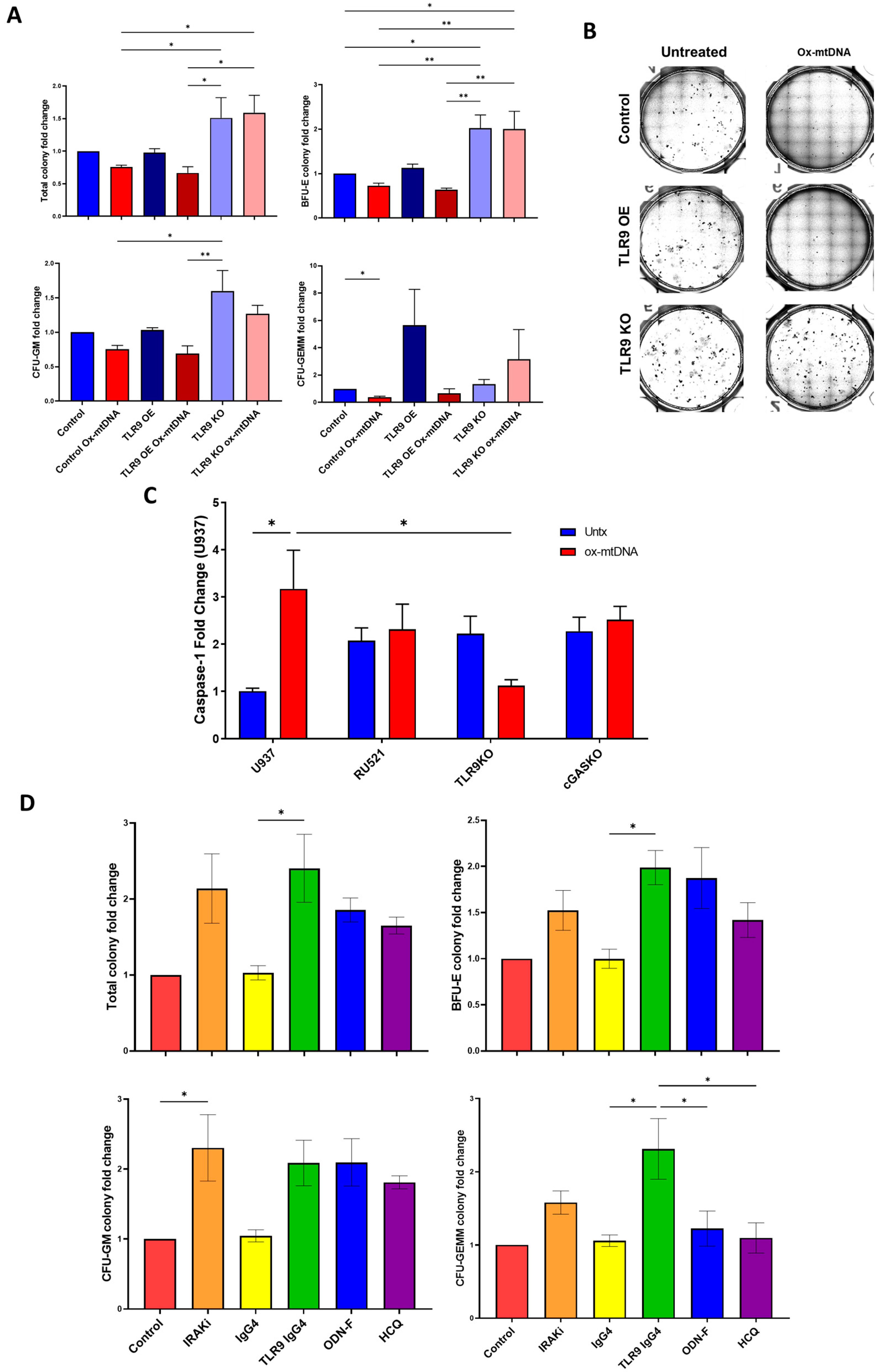 Ijms 24 03896 g005 Ijms 24 03896 g005