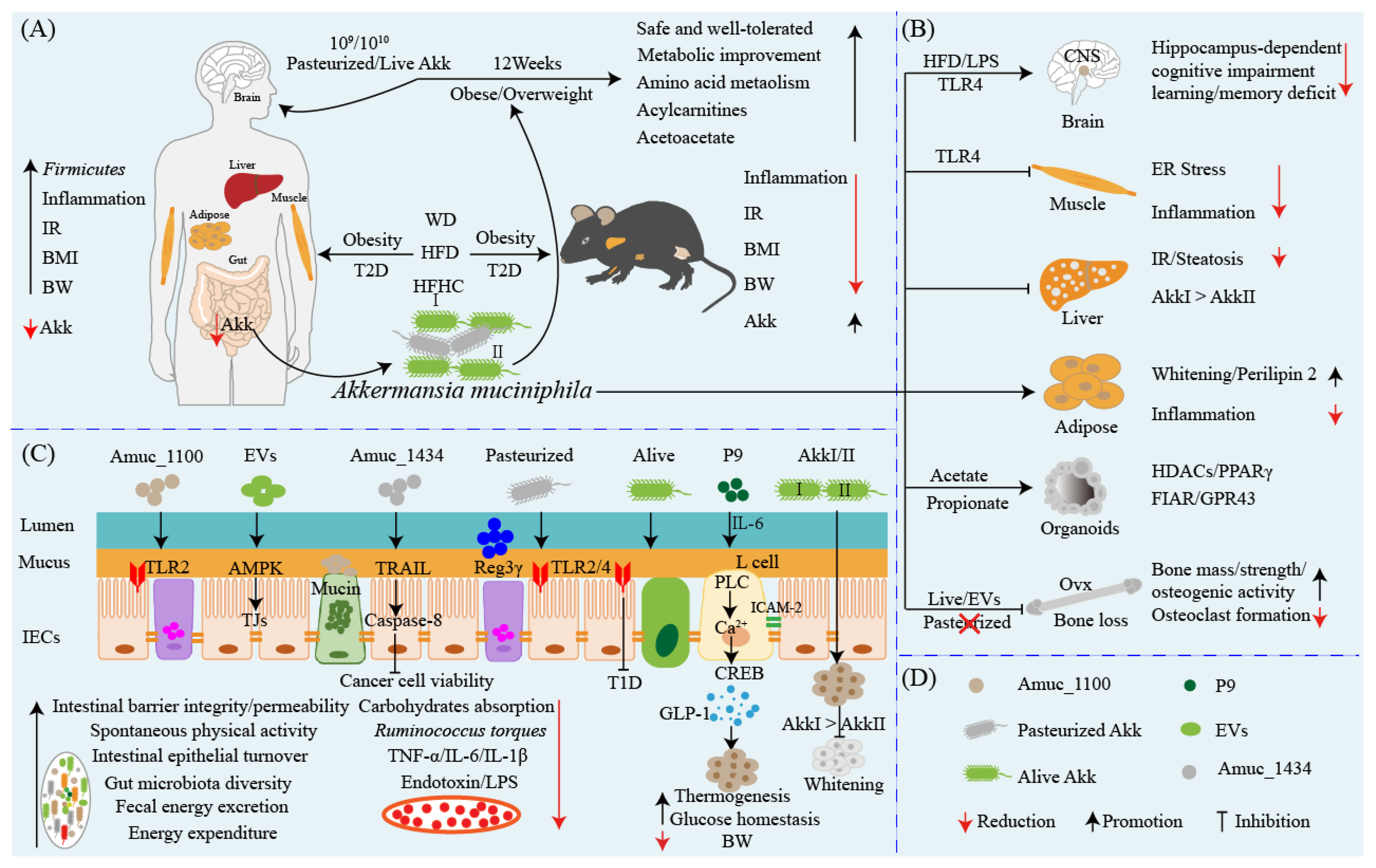Ijms 24 03900 g001 Ijms 24 03900 g001