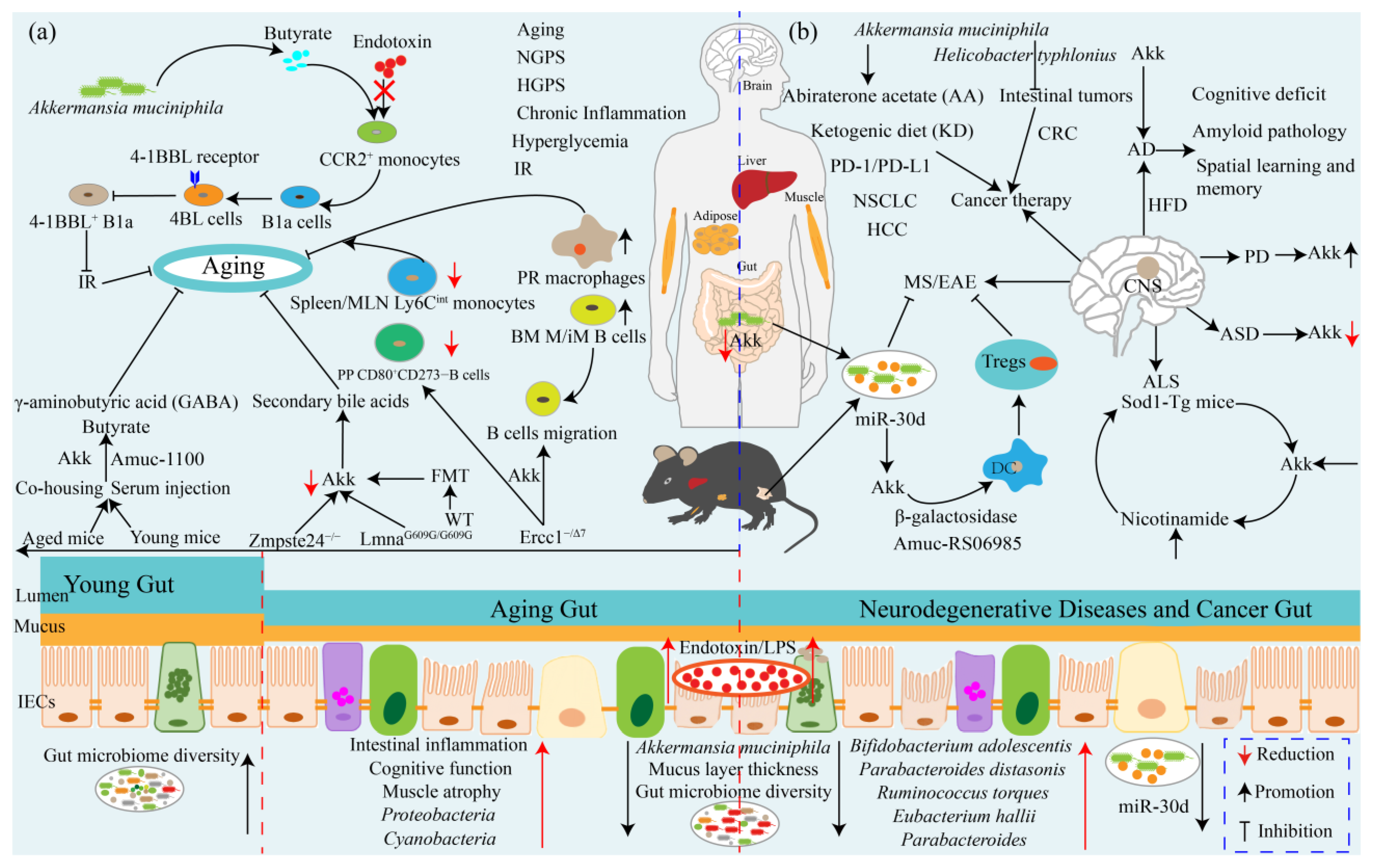 Ijms 24 03900 g003 Ijms 24 03900 g003