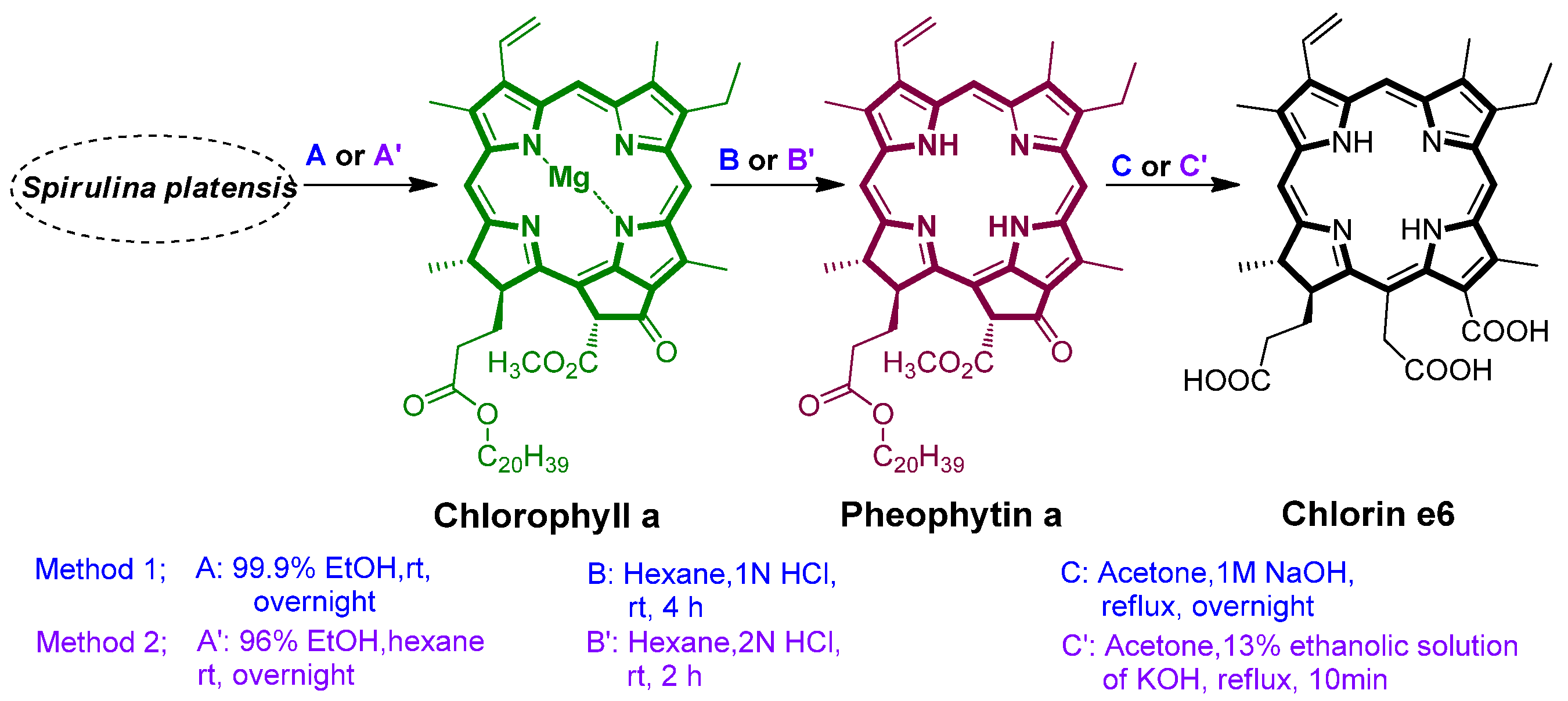 Ijms 24 03901 sch002