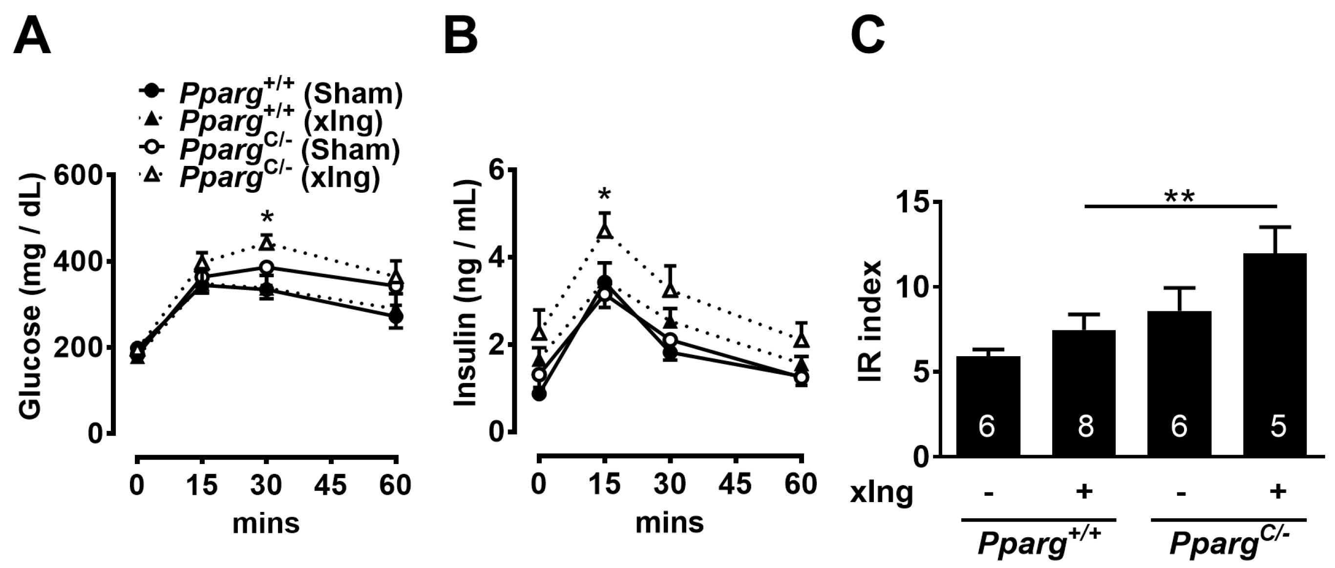 Ijms 24 03904 g004 Ijms 24 03904 g004