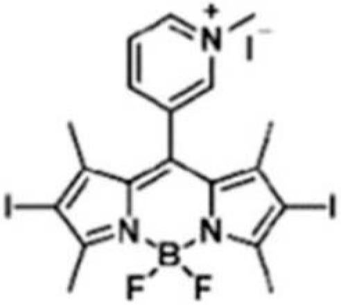 Ijms 24 03913 i002 Ijms 24 03913 i002