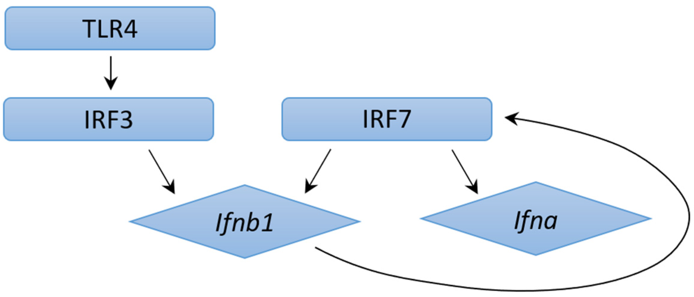 Ijms 24 03919 g001 Ijms 24 03919 g001