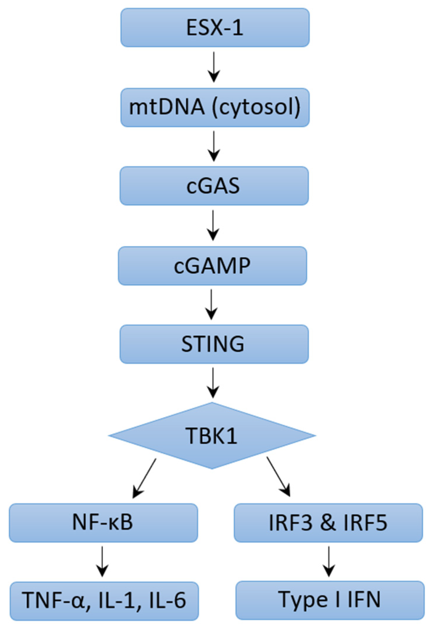 Ijms 24 03919 g002 Ijms 24 03919 g002
