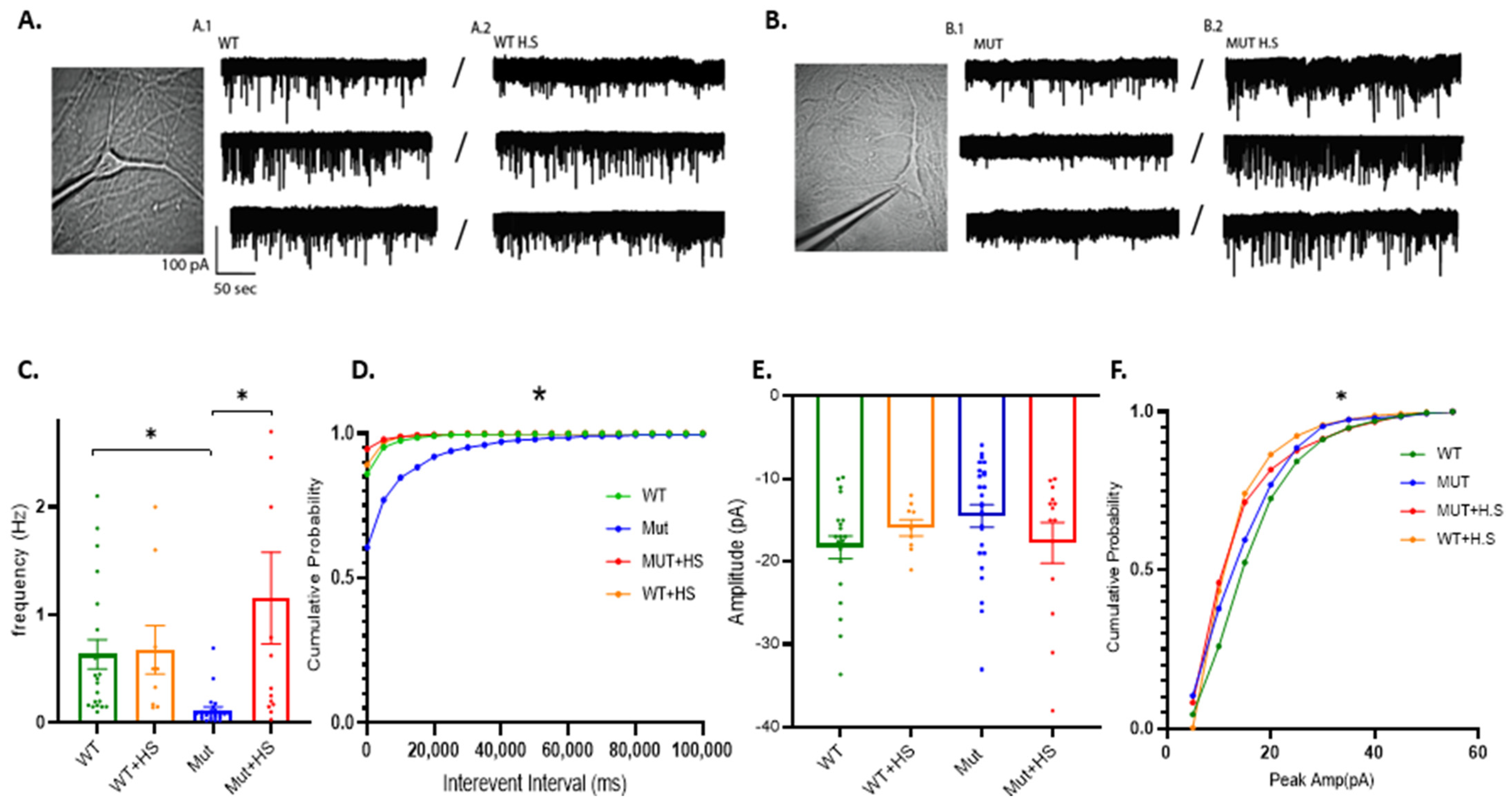 Ijms 24 03924 g005 Ijms 24 03924 g005