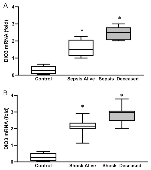 Ijms 24 03935 g002 Ijms 24 03935 g002