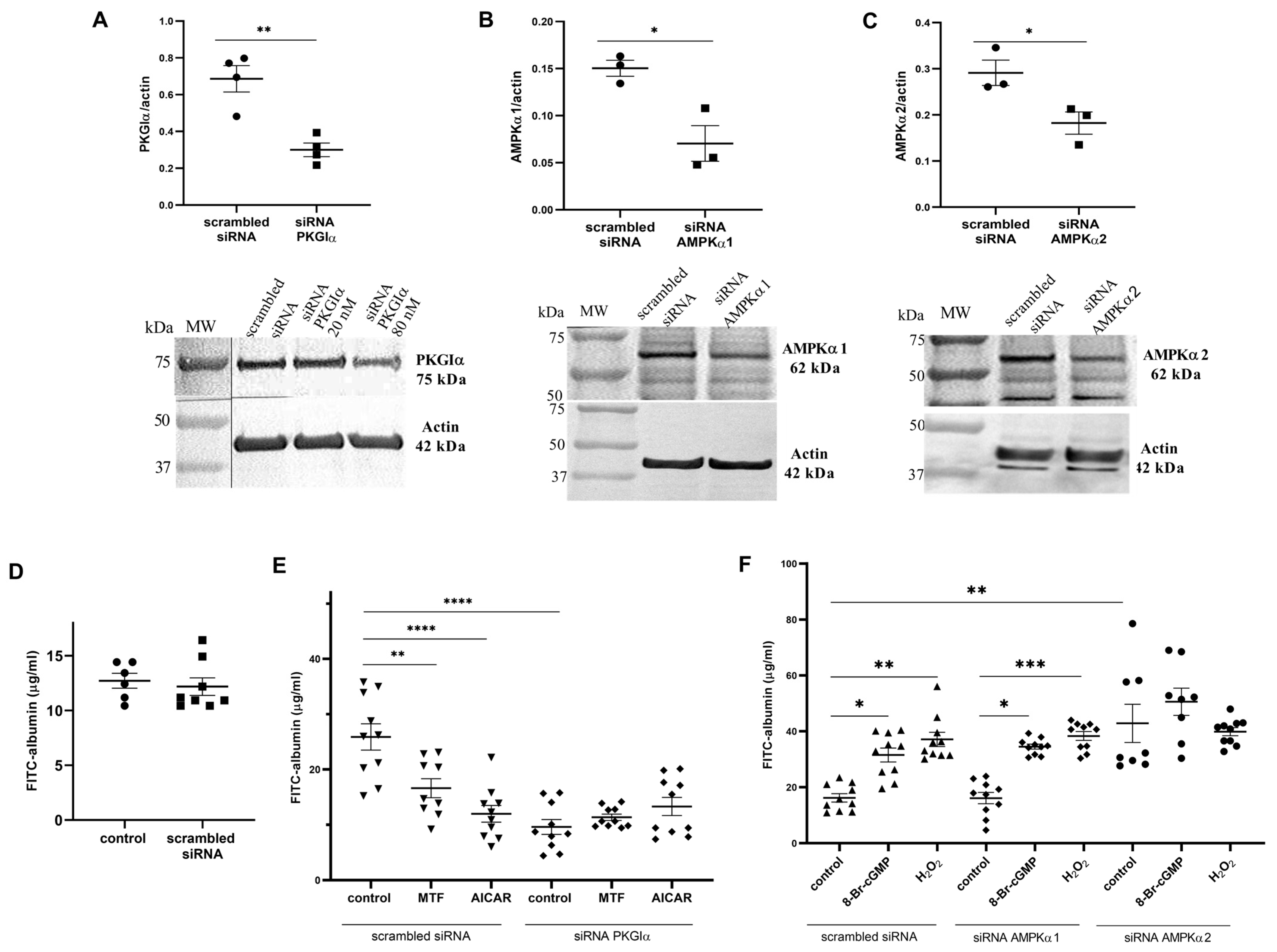 Ijms 24 03952 g002 Ijms 24 03952 g002