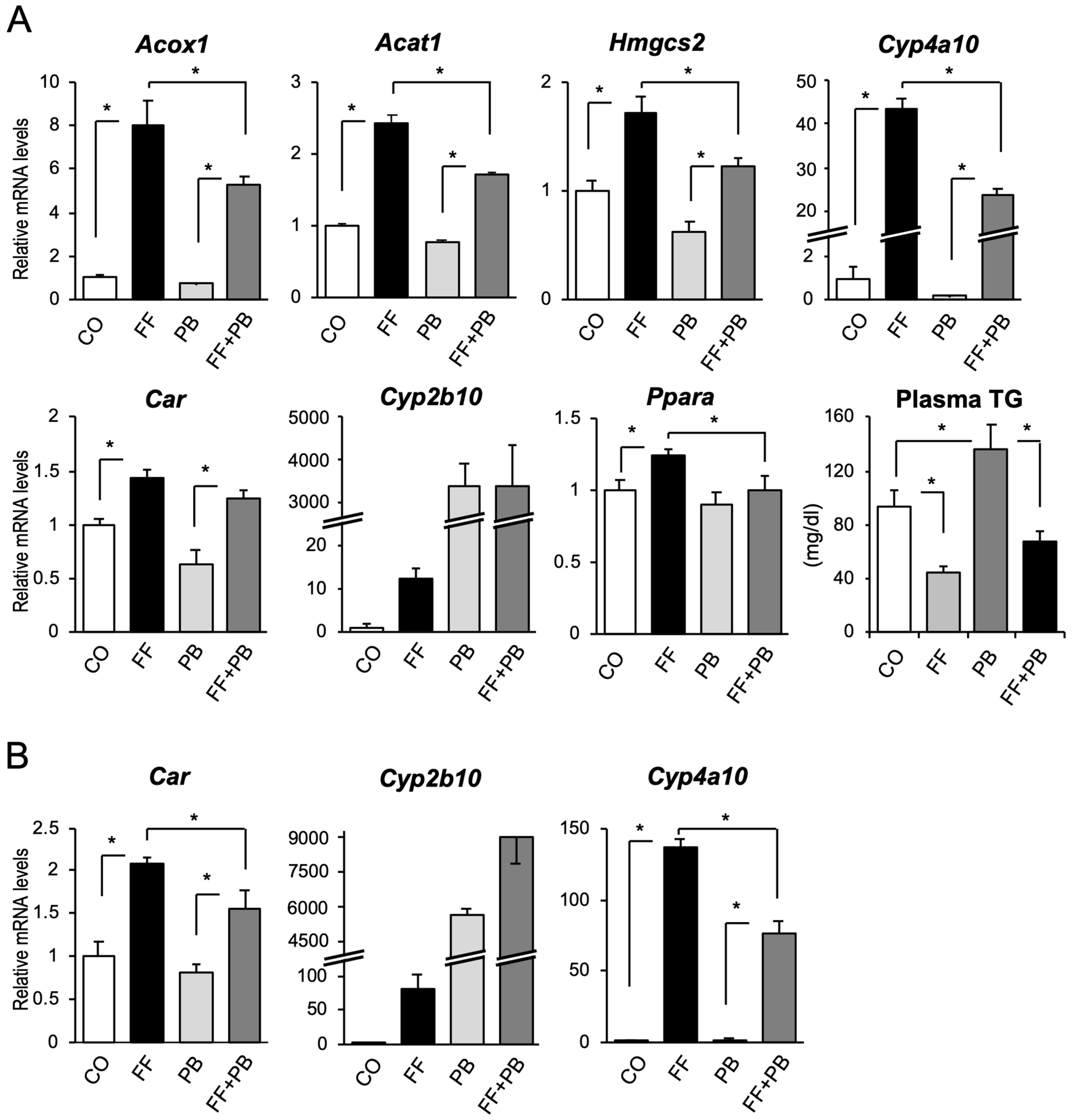 Ijms 24 03953 g001 Ijms 24 03953 g001