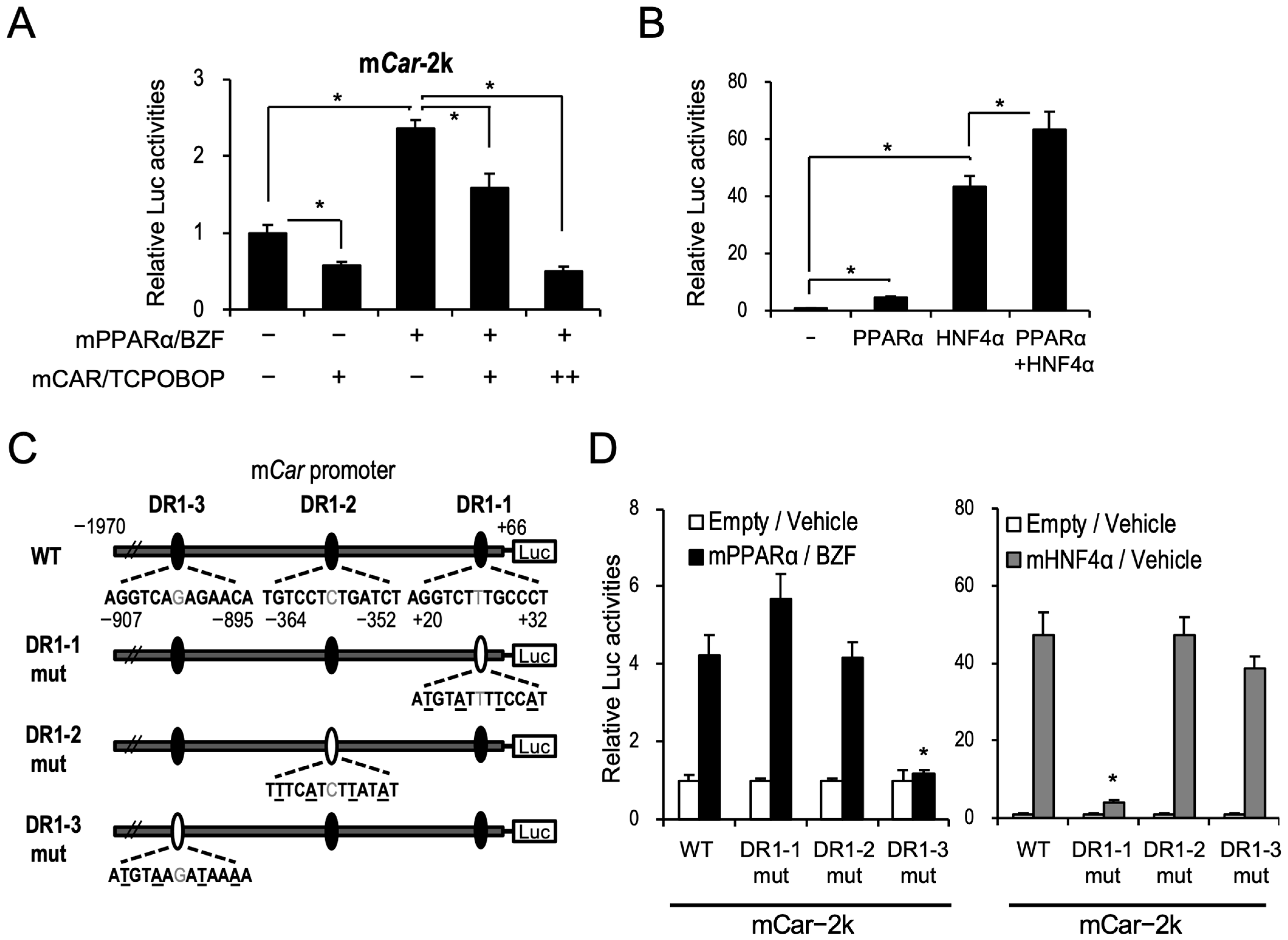 Ijms 24 03953 g003 Ijms 24 03953 g003