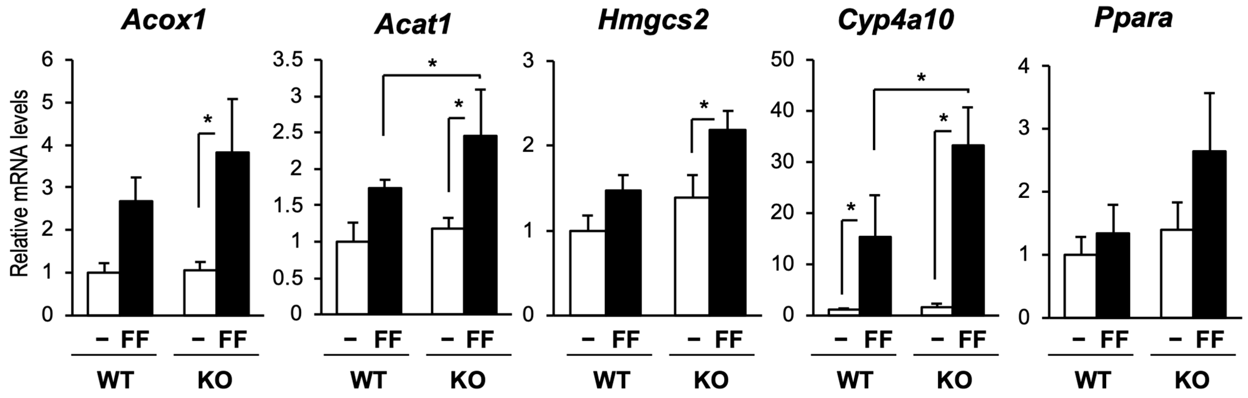 Ijms 24 03953 g005 Ijms 24 03953 g005