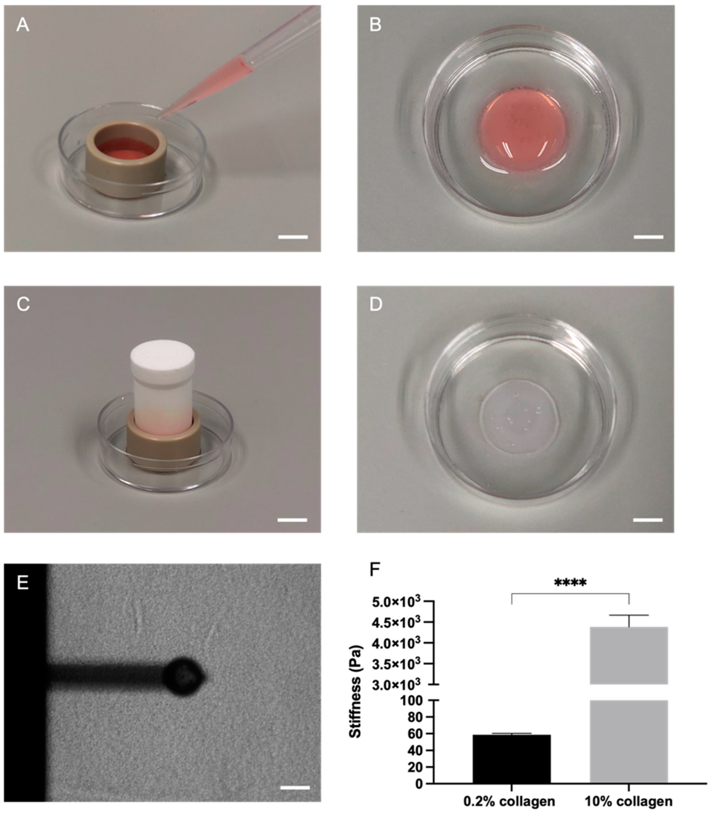 Ijms 24 03956 g002 Ijms 24 03956 g002