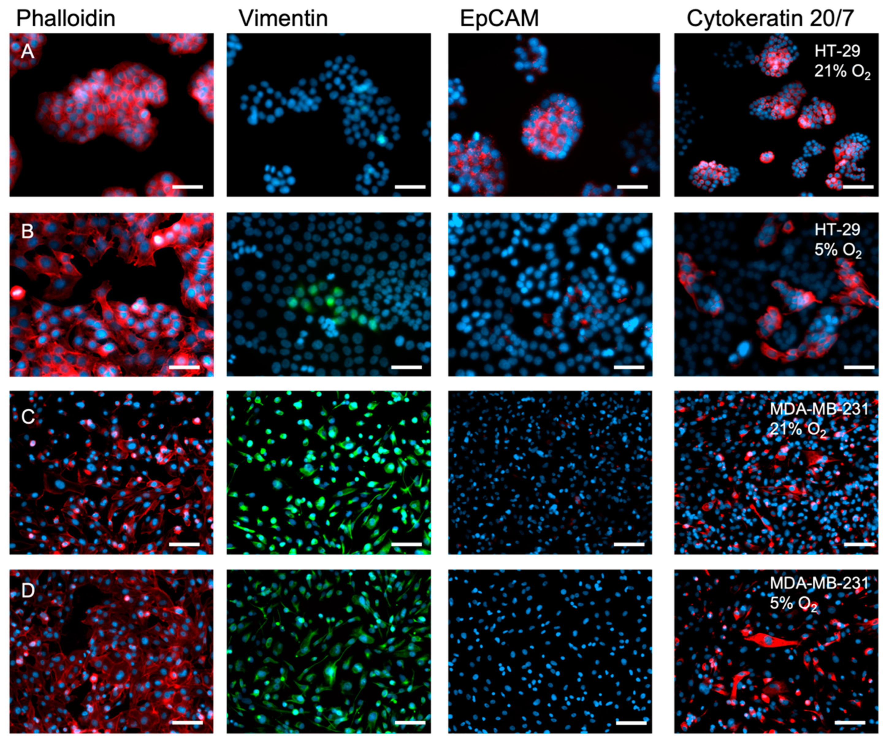 Ijms 24 03956 g003 Ijms 24 03956 g003