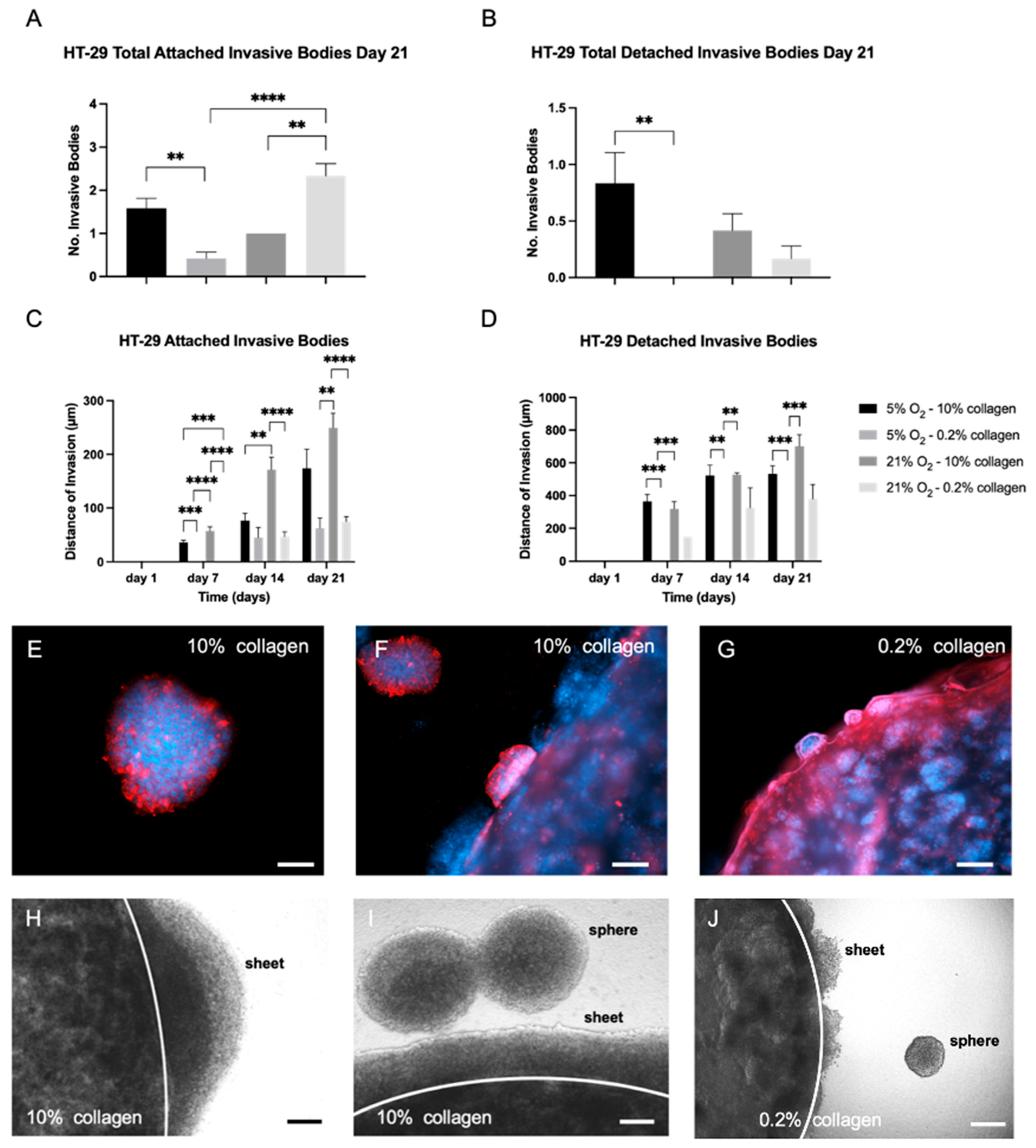 Ijms 24 03956 g005 Ijms 24 03956 g005