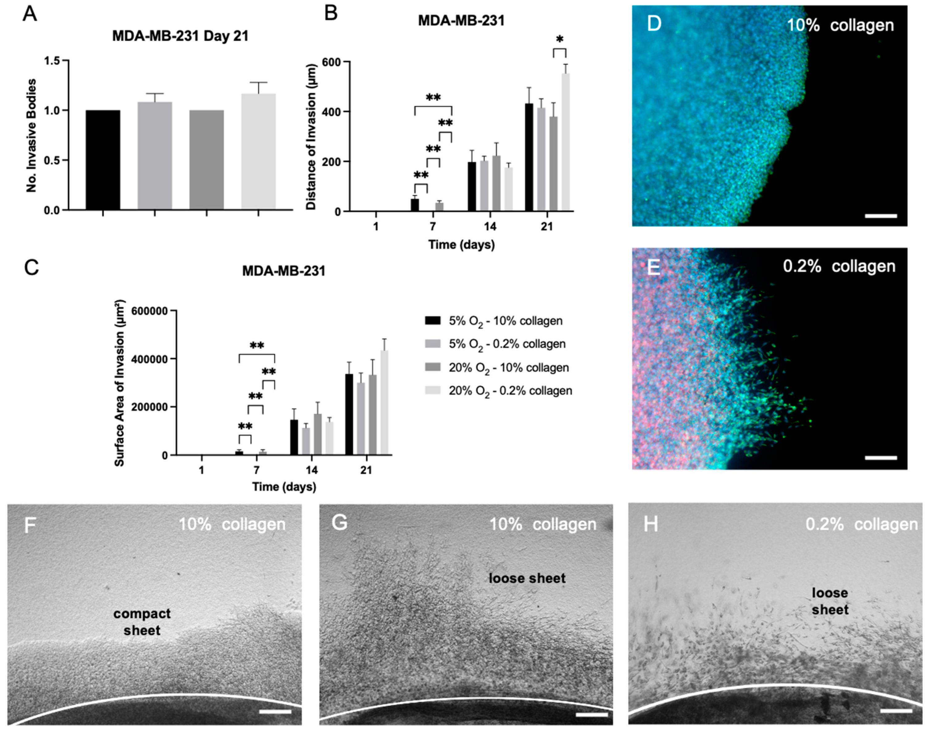 Ijms 24 03956 g007 Ijms 24 03956 g007