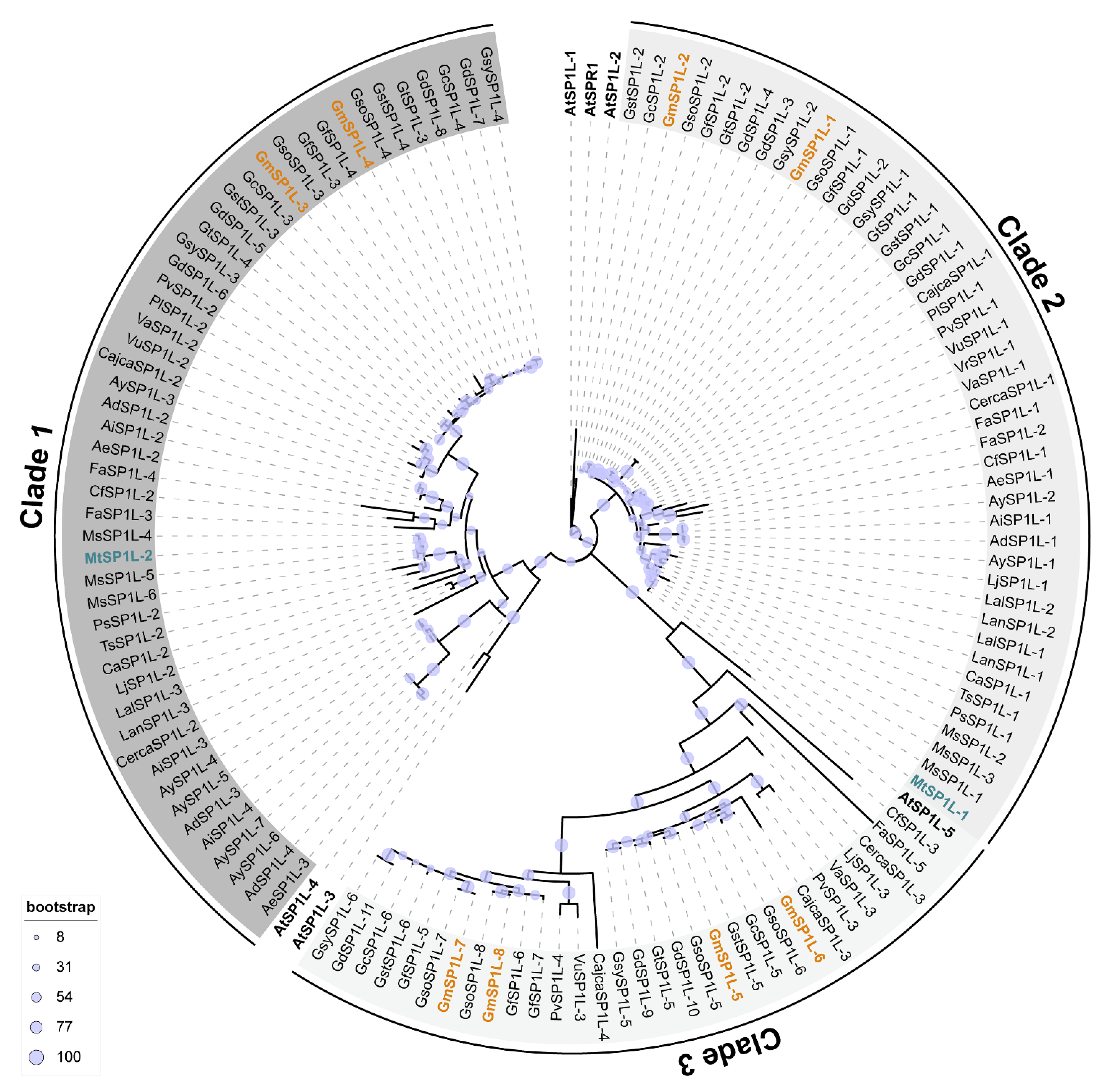 Ijms 24 03958 g001 Ijms 24 03958 g001