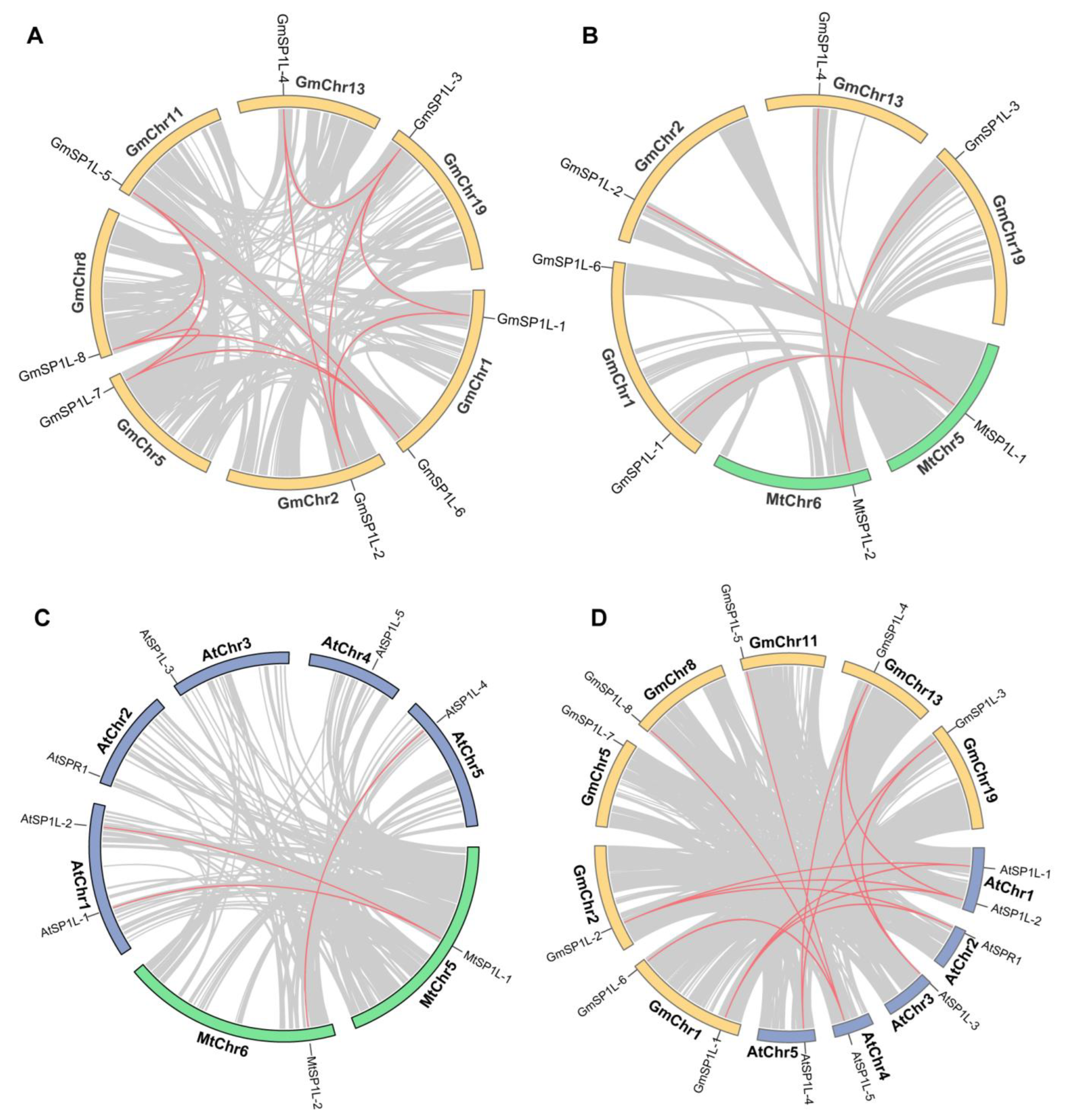 Ijms 24 03958 g004 Ijms 24 03958 g004