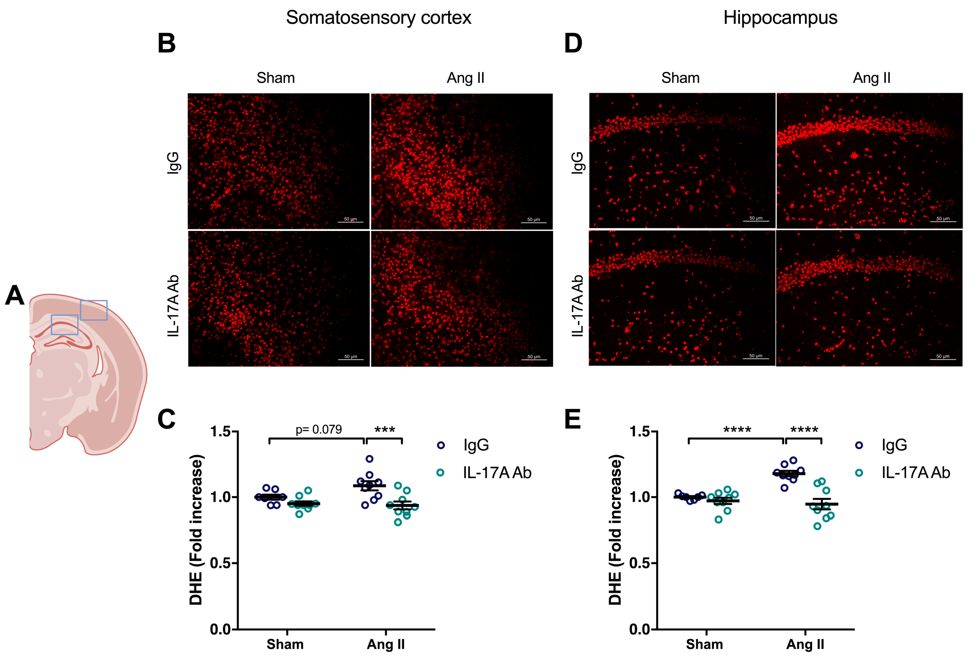 Ijms 24 03959 g003 Ijms 24 03959 g003