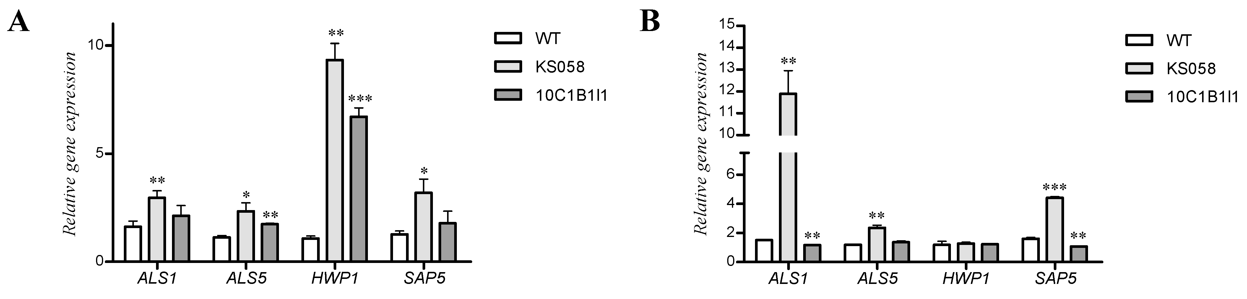 Ijms 24 03966 g004 Ijms 24 03966 g004