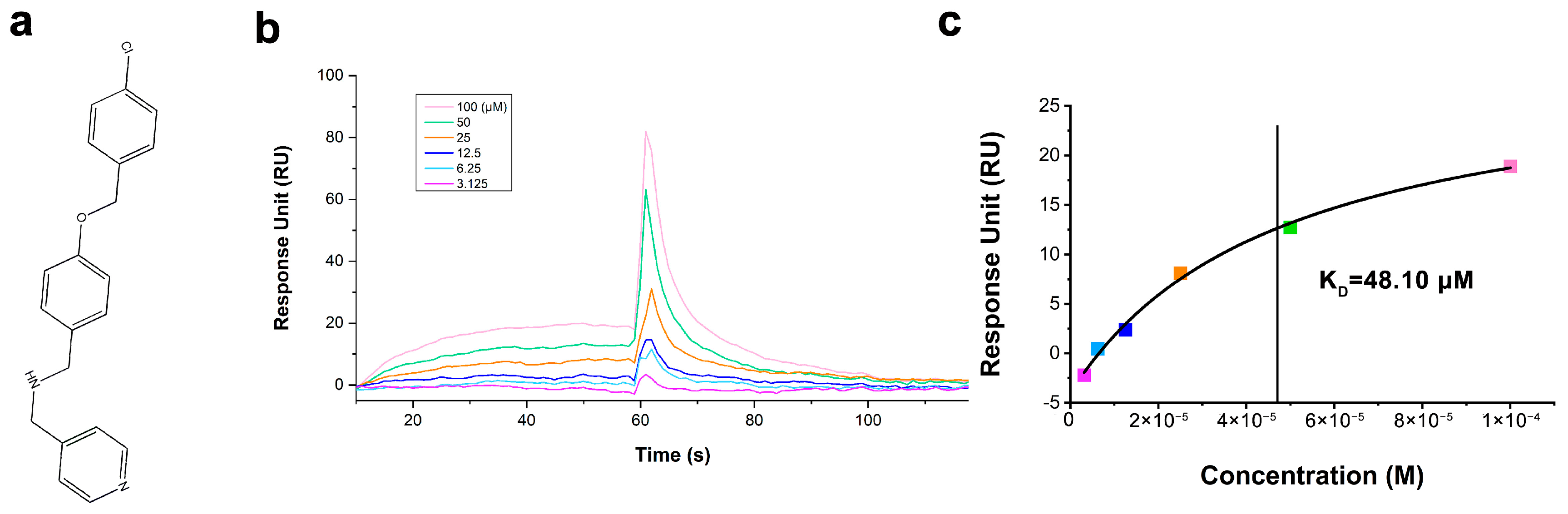 Ijms 24 03971 g002 Ijms 24 03971 g002