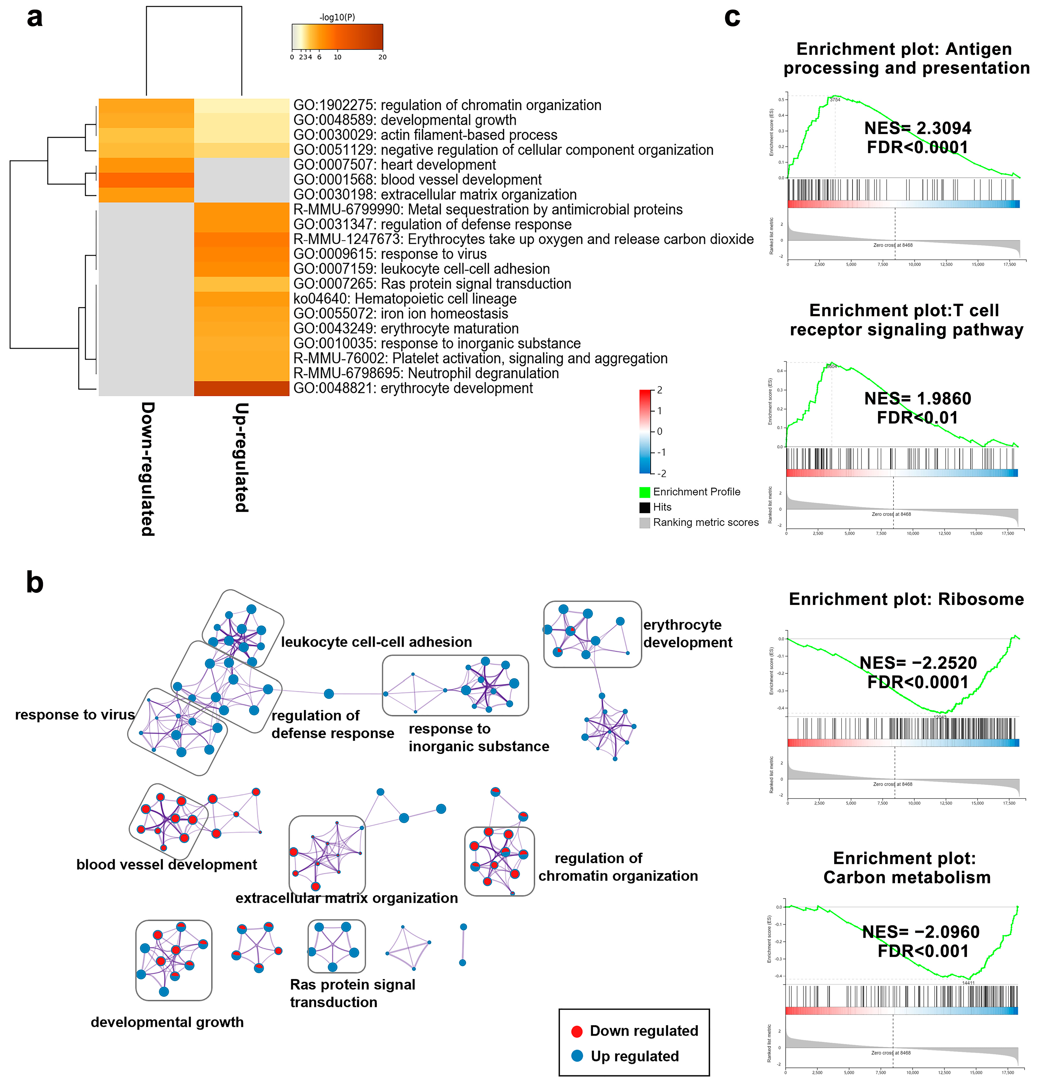 Ijms 24 03971 g007 Ijms 24 03971 g007