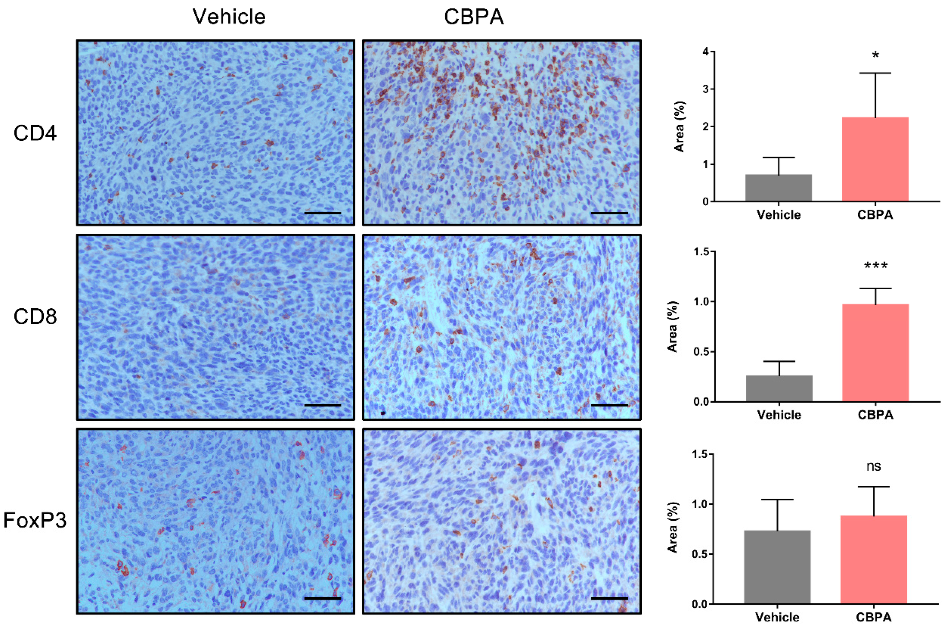 Ijms 24 03971 g009 Ijms 24 03971 g009