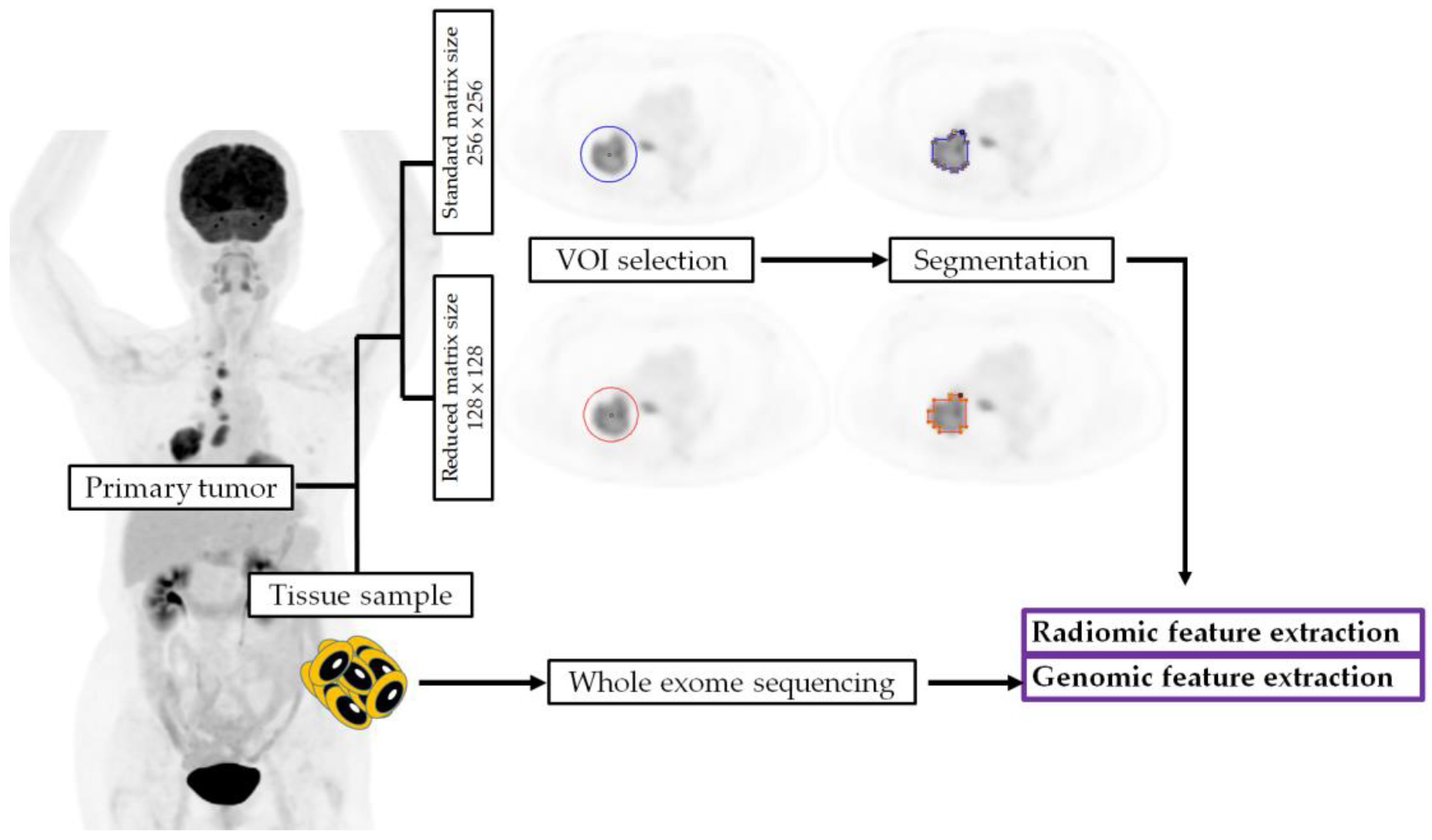 Ijms 24 03988 g004 Ijms 24 03988 g004
