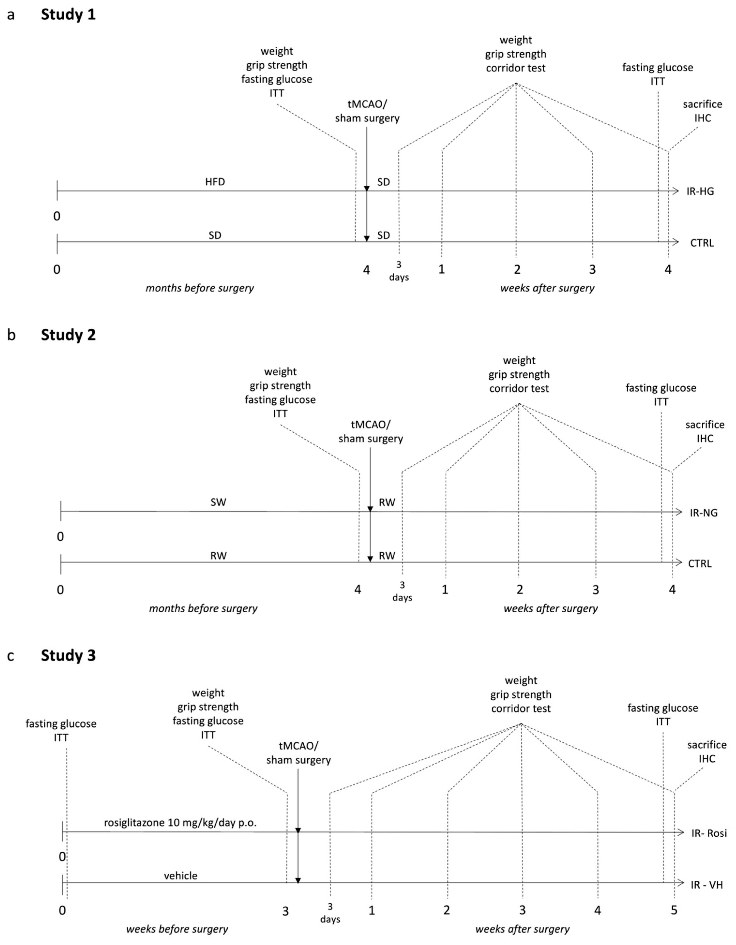 Ijms 24 03989 g001 Ijms 24 03989 g001