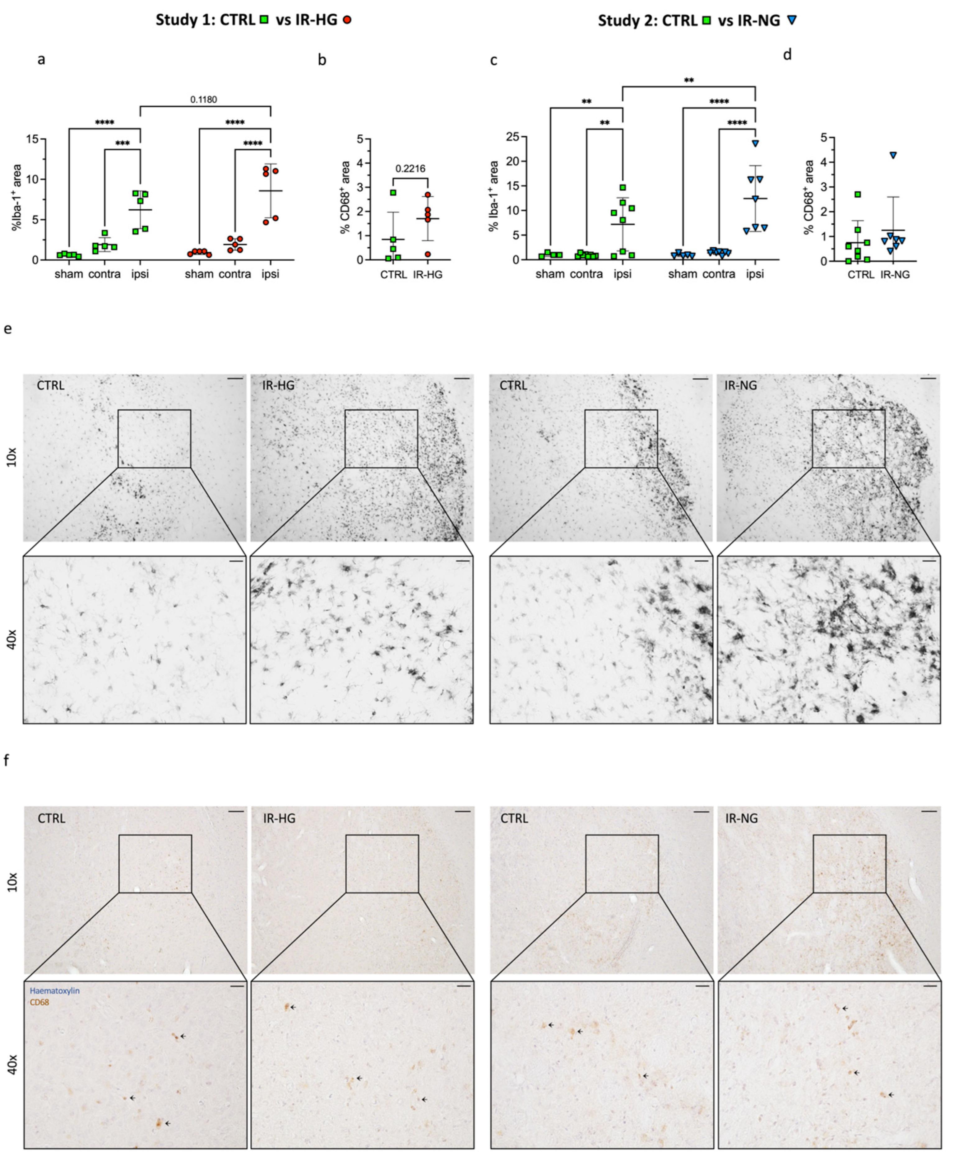 Ijms 24 03989 g004 Ijms 24 03989 g004