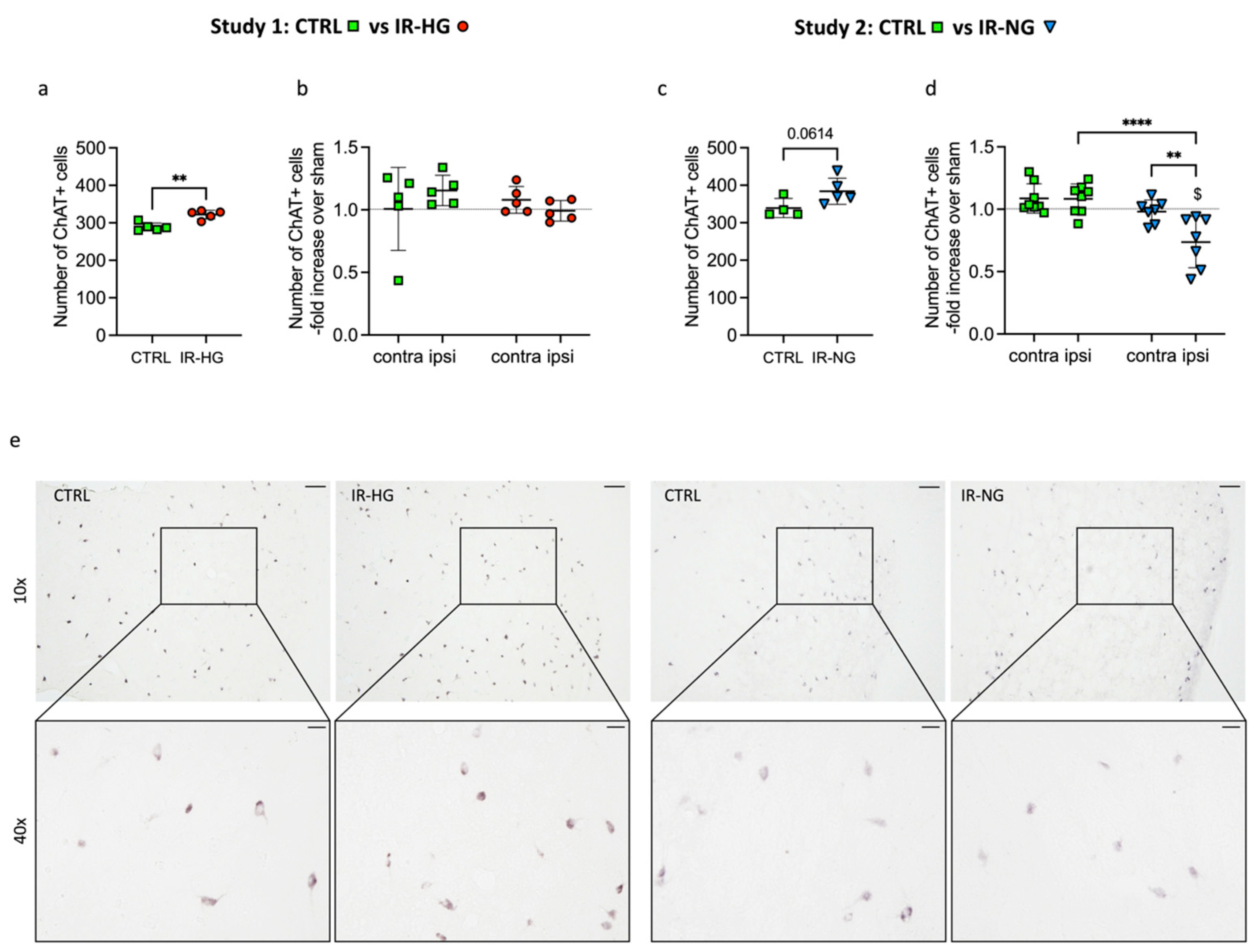 Ijms 24 03989 g005 Ijms 24 03989 g005