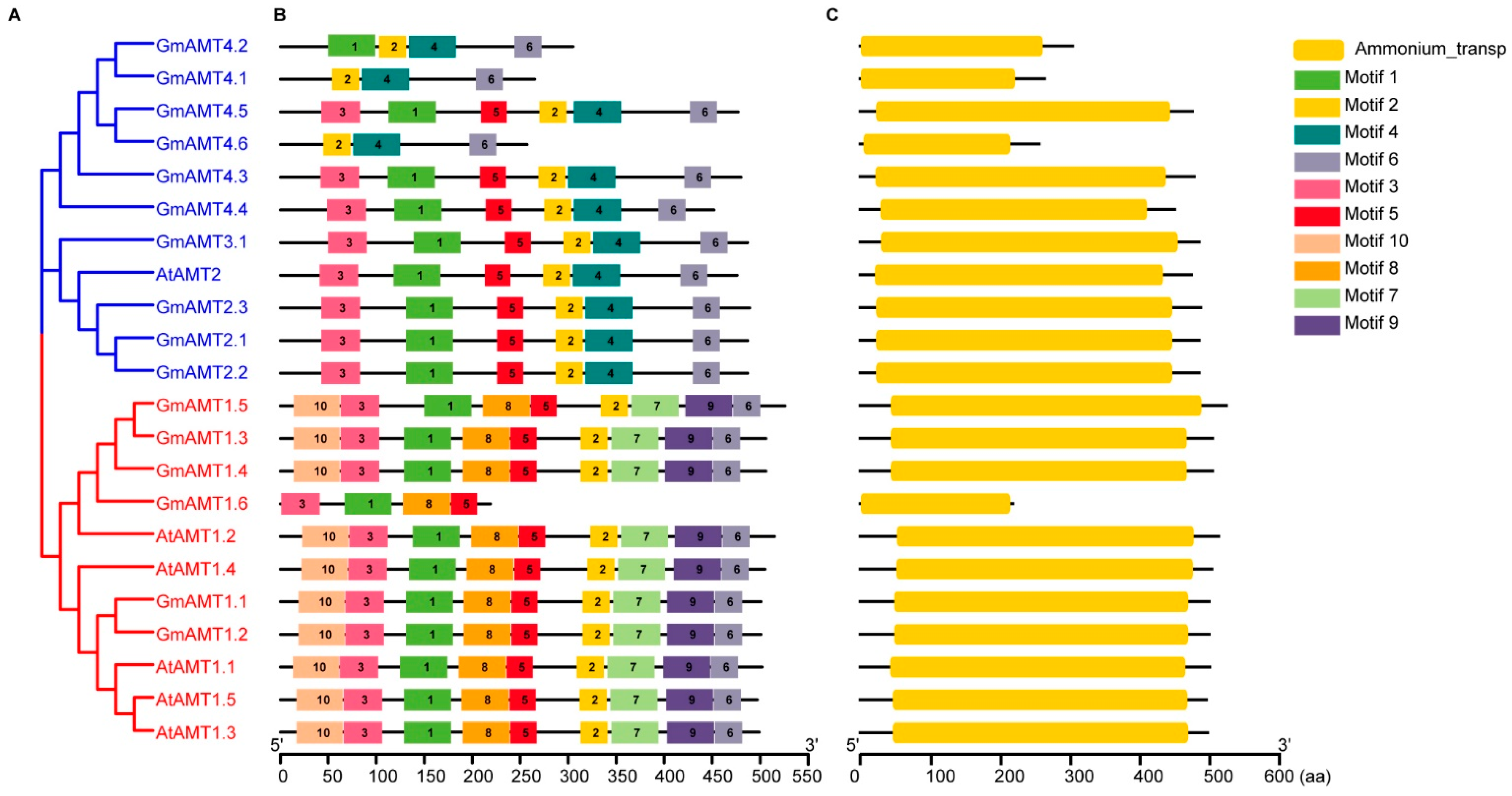 Ijms 24 03991 g001 Ijms 24 03991 g001