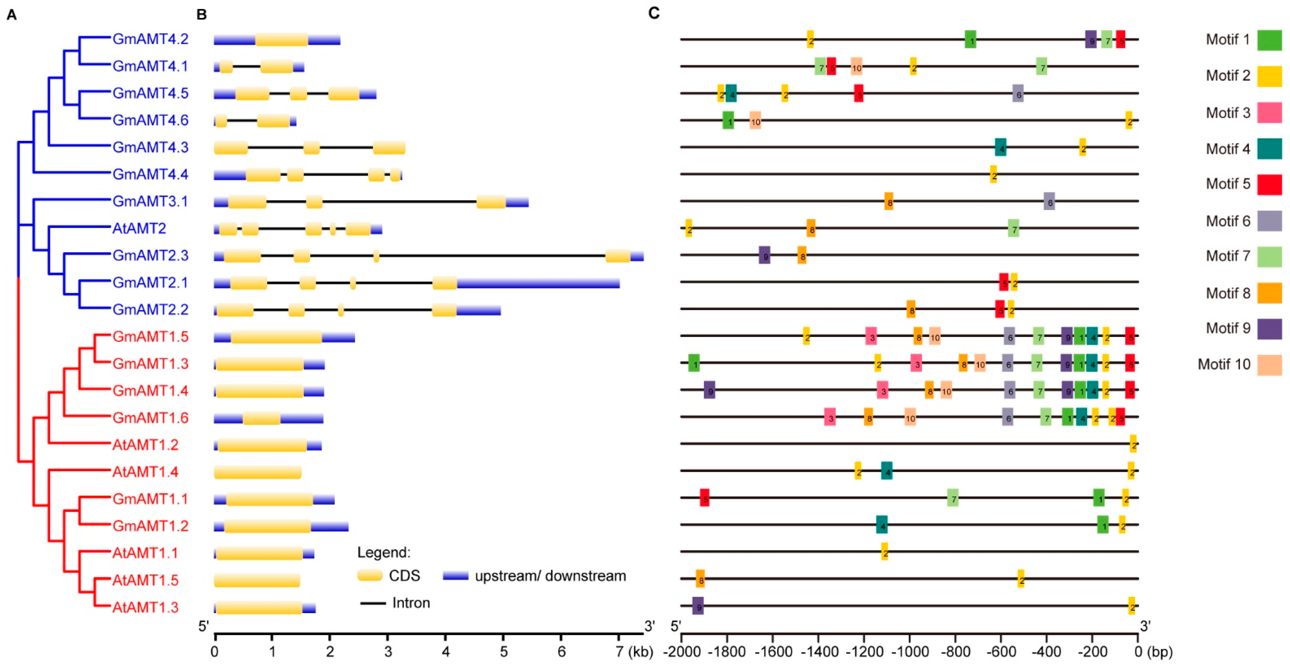 Ijms 24 03991 g004 Ijms 24 03991 g004