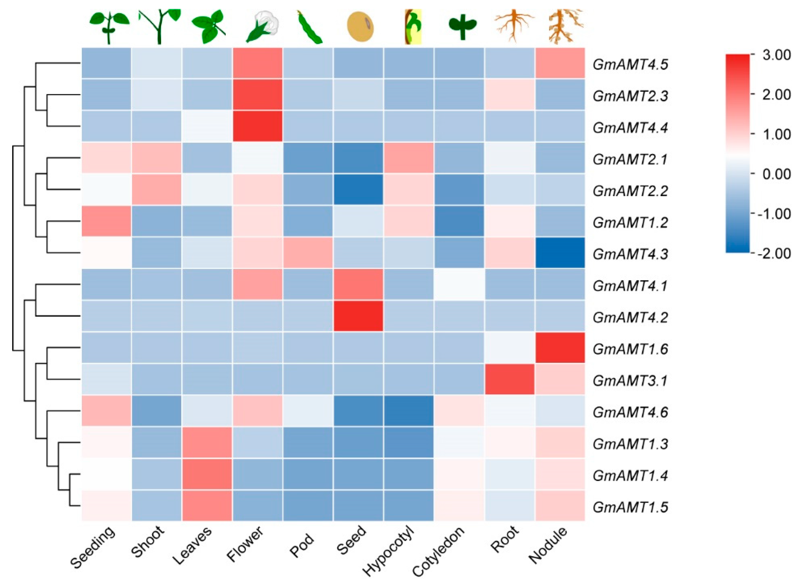Ijms 24 03991 g006 Ijms 24 03991 g006