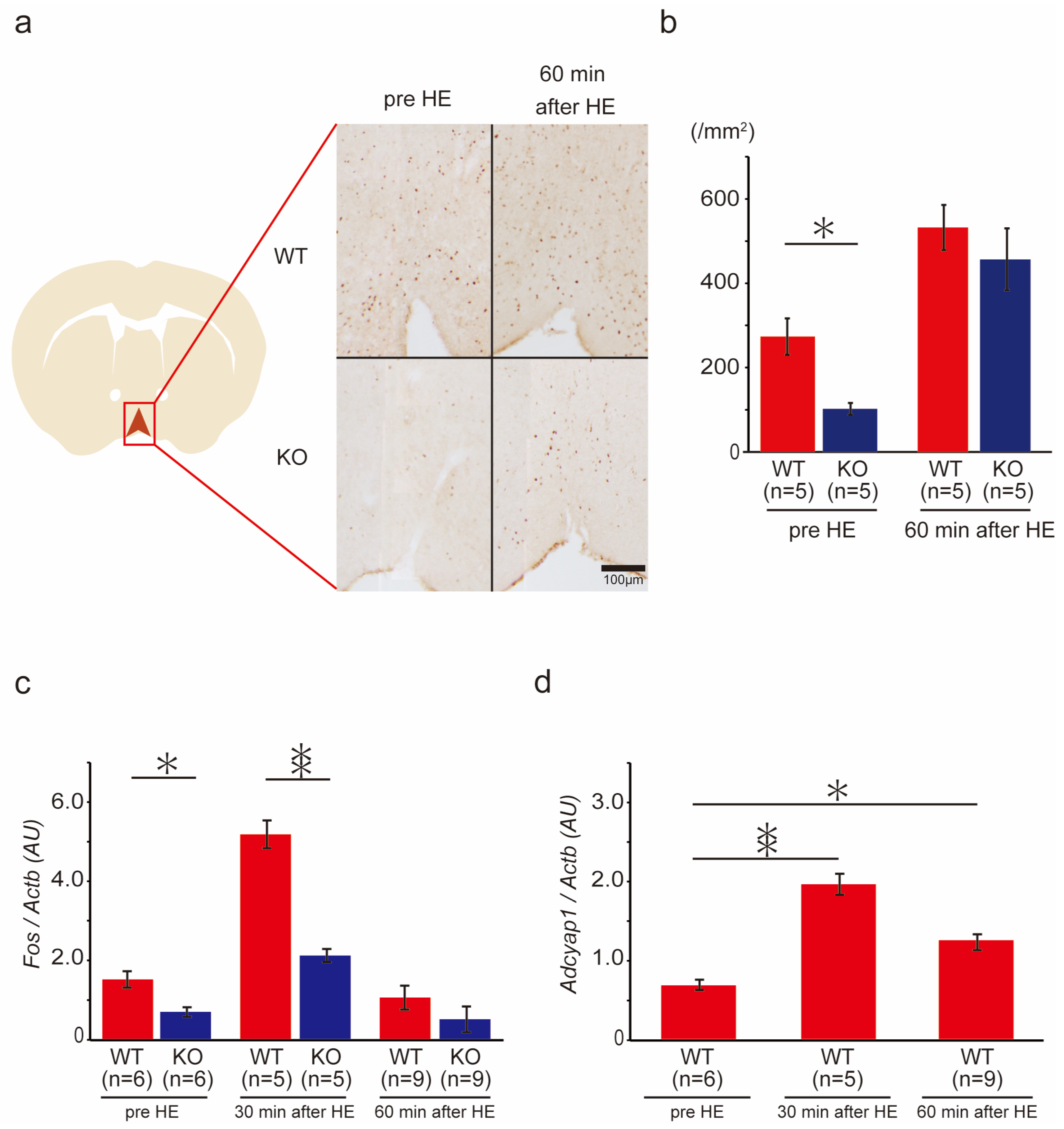 Ijms 24 03992 g005 Ijms 24 03992 g005