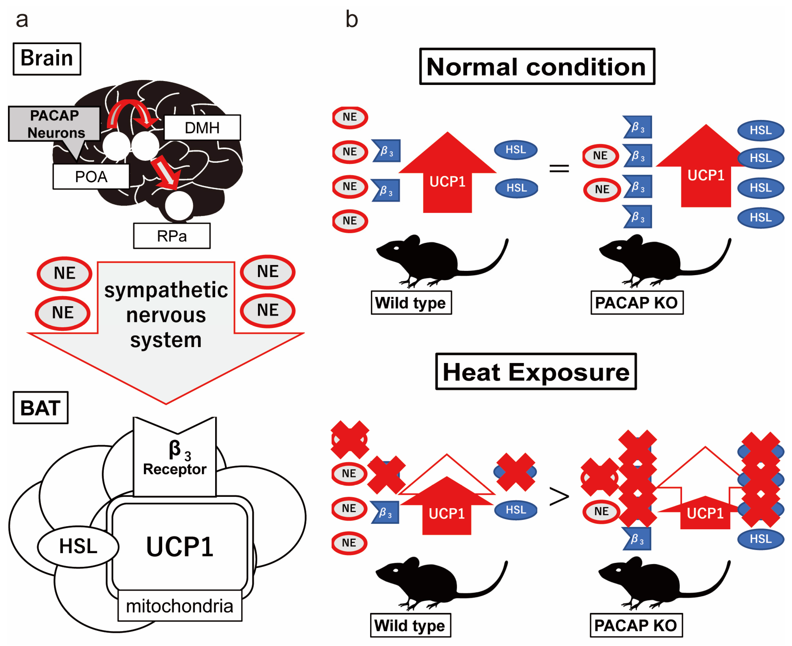 Ijms 24 03992 g008 Ijms 24 03992 g008