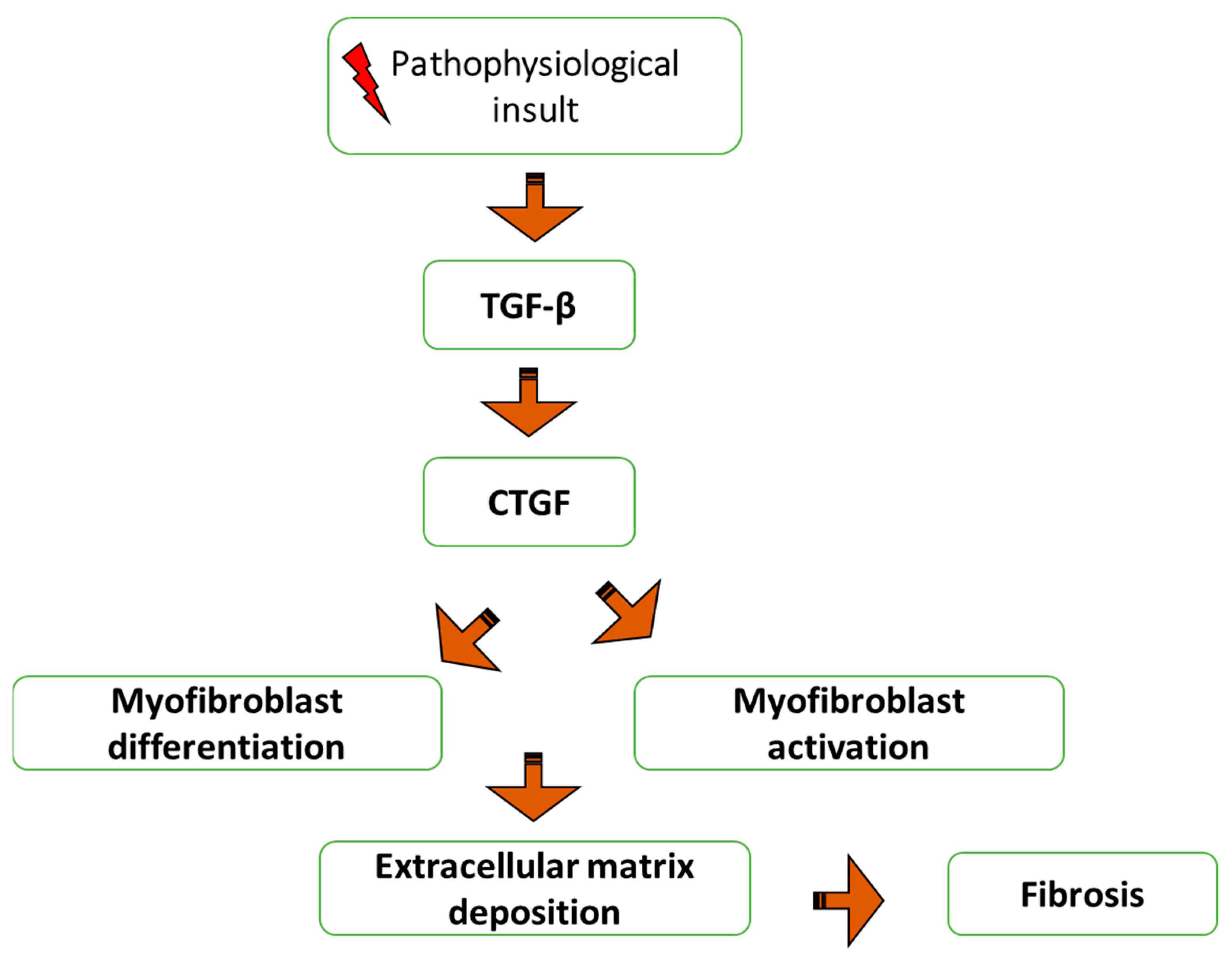 Ijms 24 04004 g005 Ijms 24 04004 g005