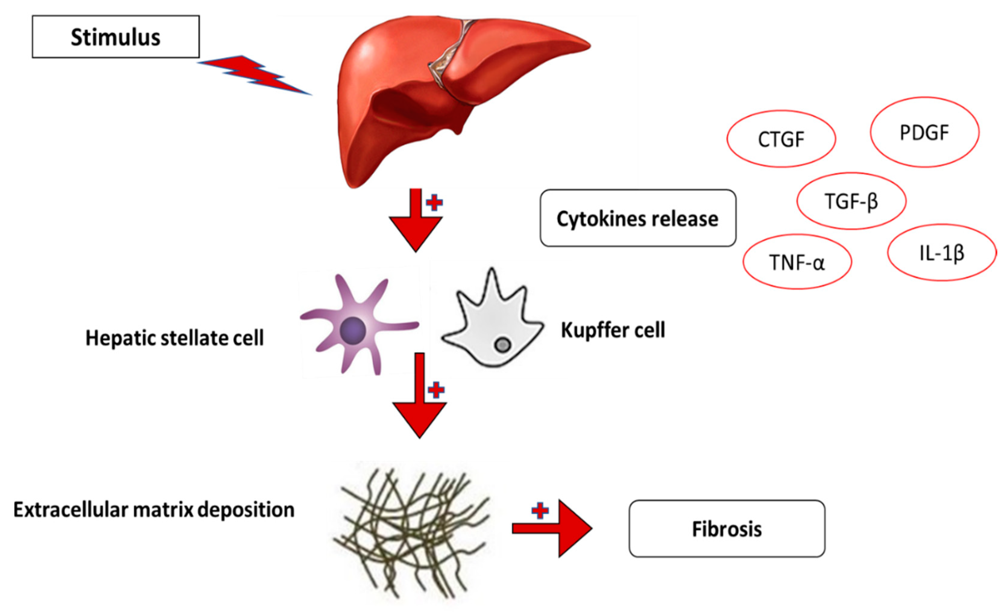 Ijms 24 04004 g014 Ijms 24 04004 g014