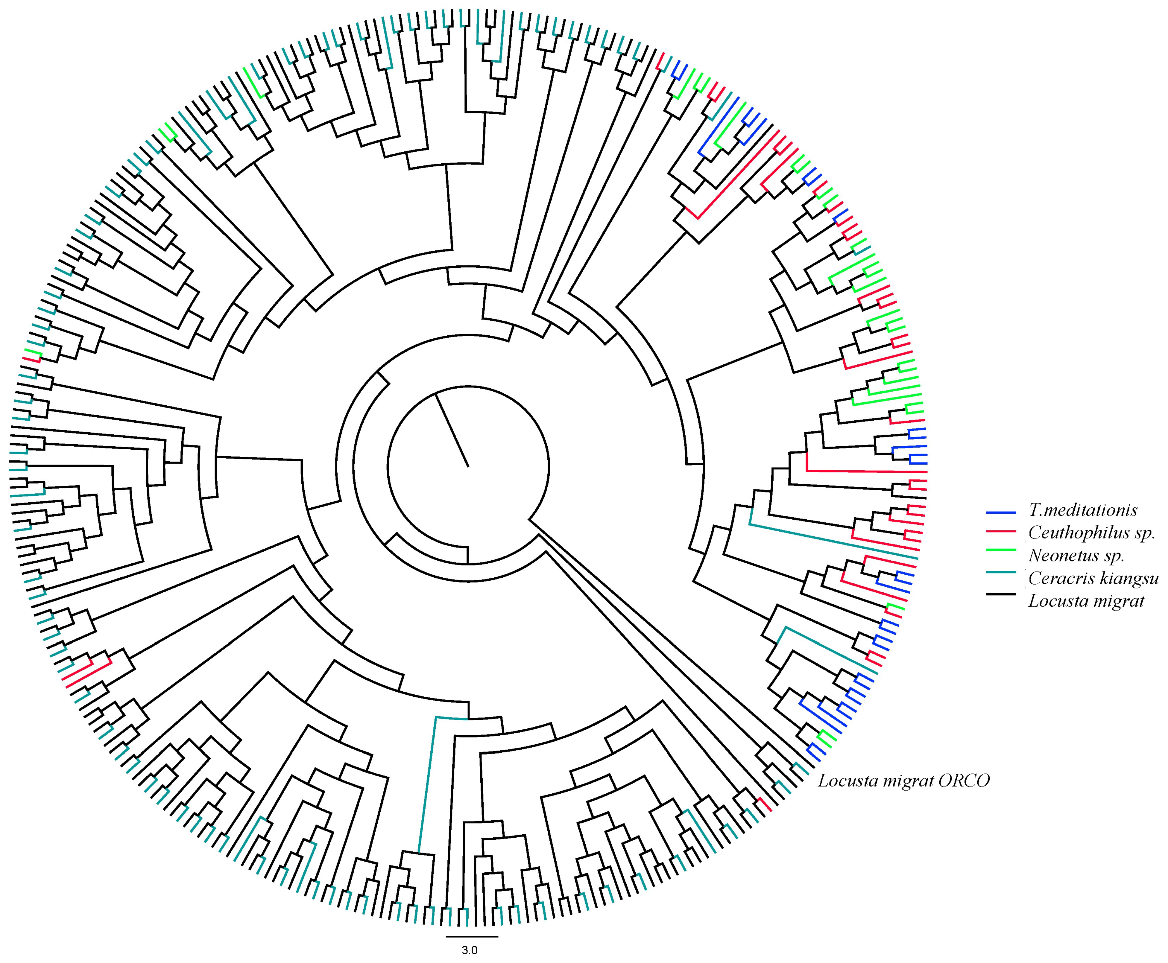 Ijms 24 04005 g004 Ijms 24 04005 g004