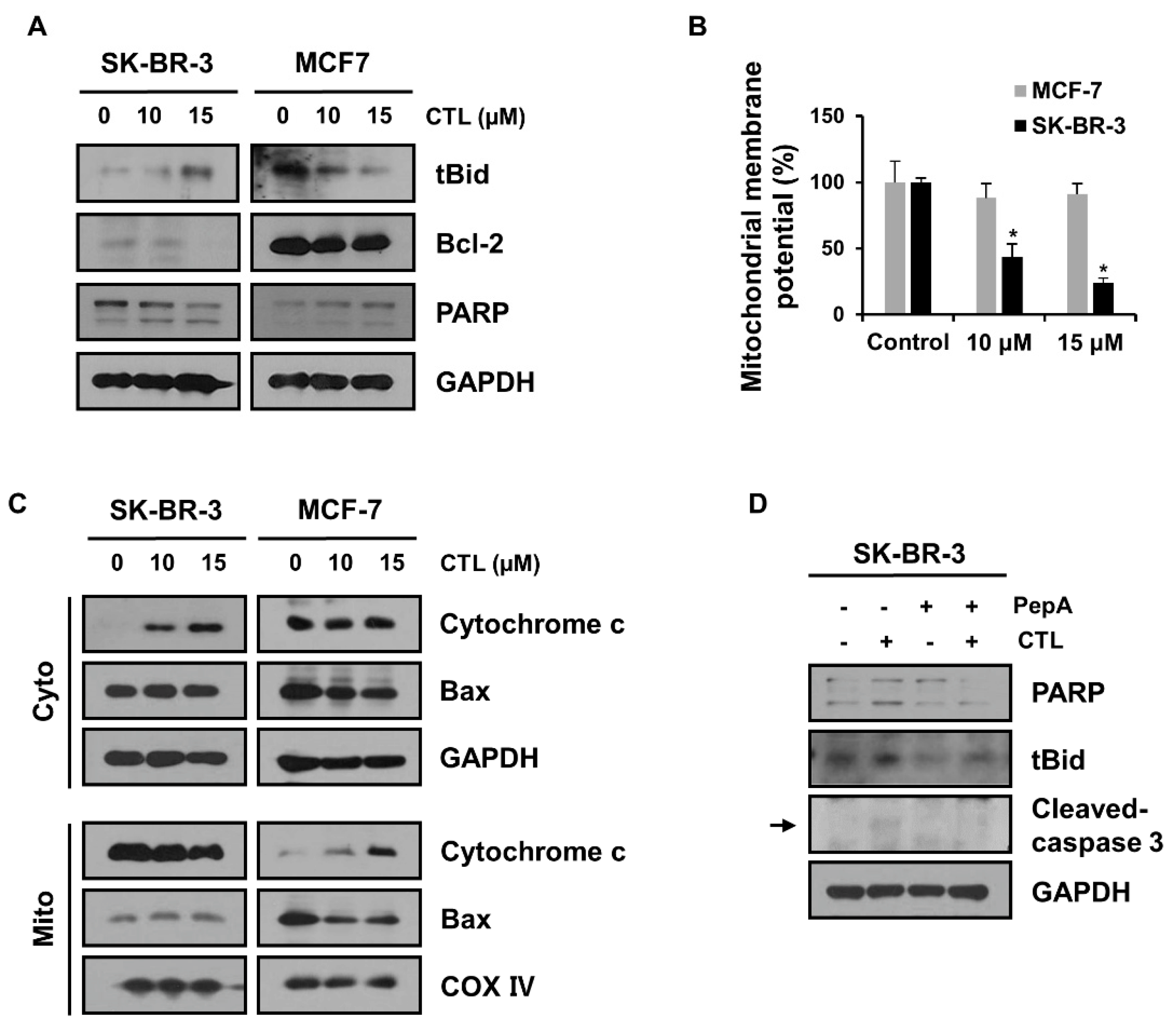 Ijms 24 04009 g003 Ijms 24 04009 g003