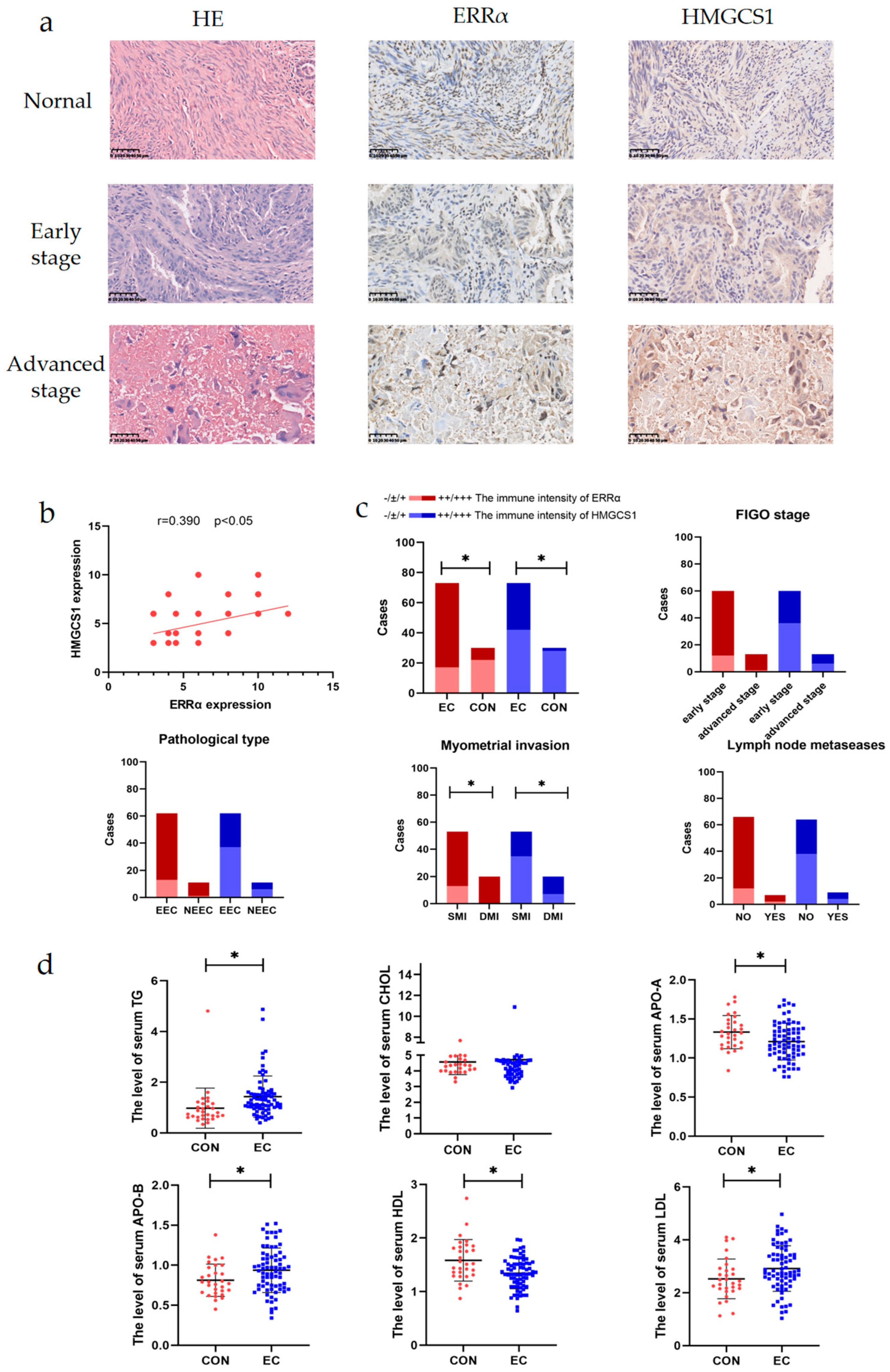 Ijms 24 04010 g002 Ijms 24 04010 g002