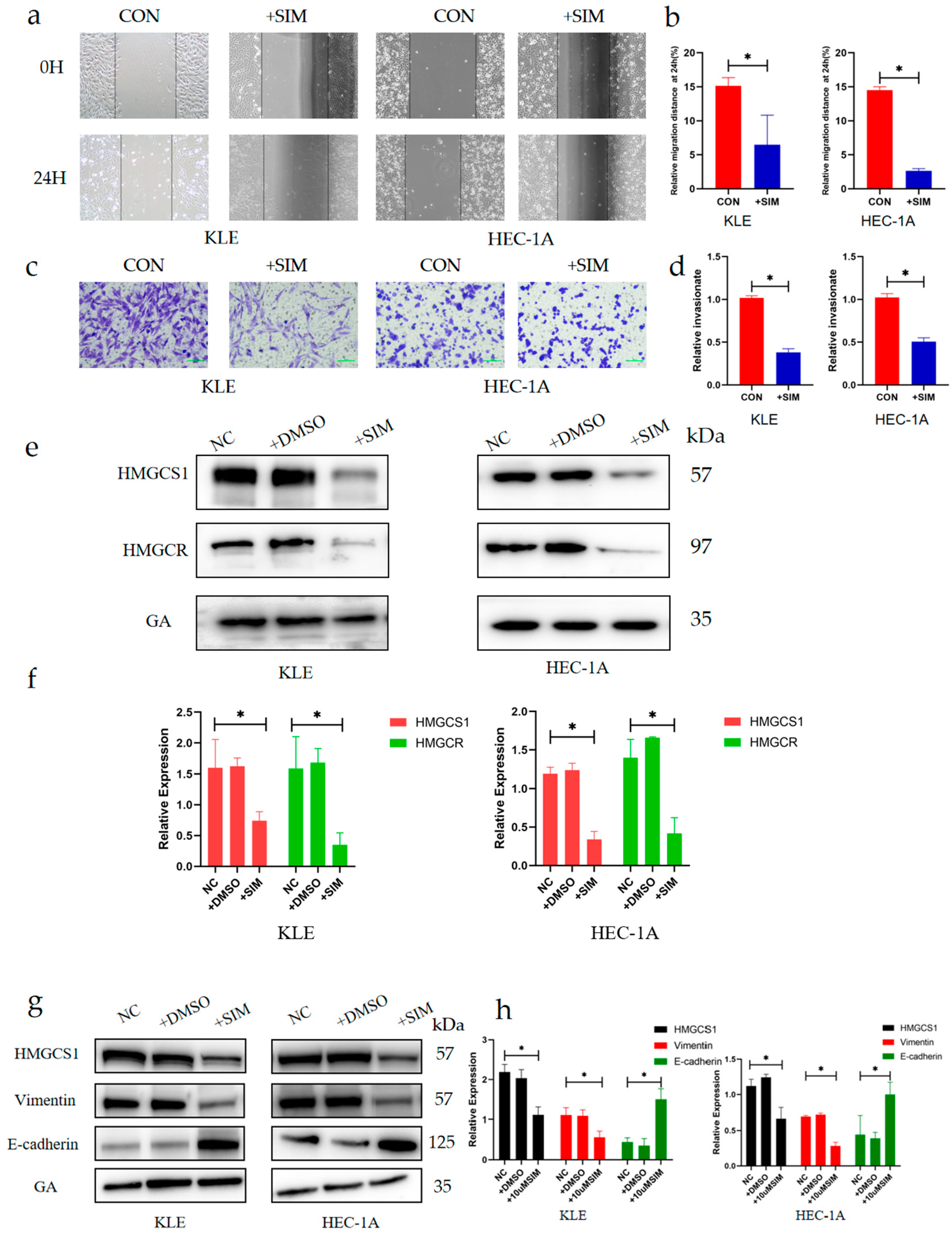 Ijms 24 04010 g003 Ijms 24 04010 g003