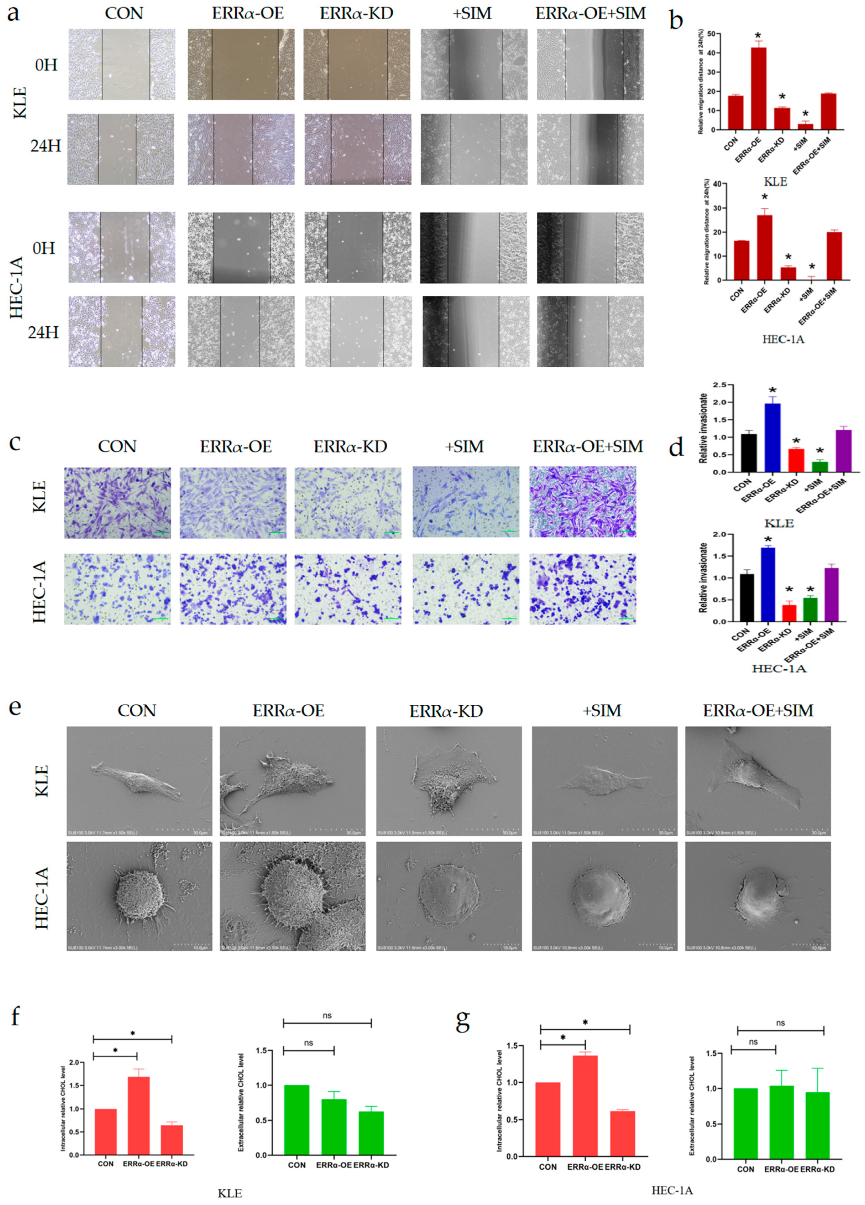 Ijms 24 04010 g005 Ijms 24 04010 g005