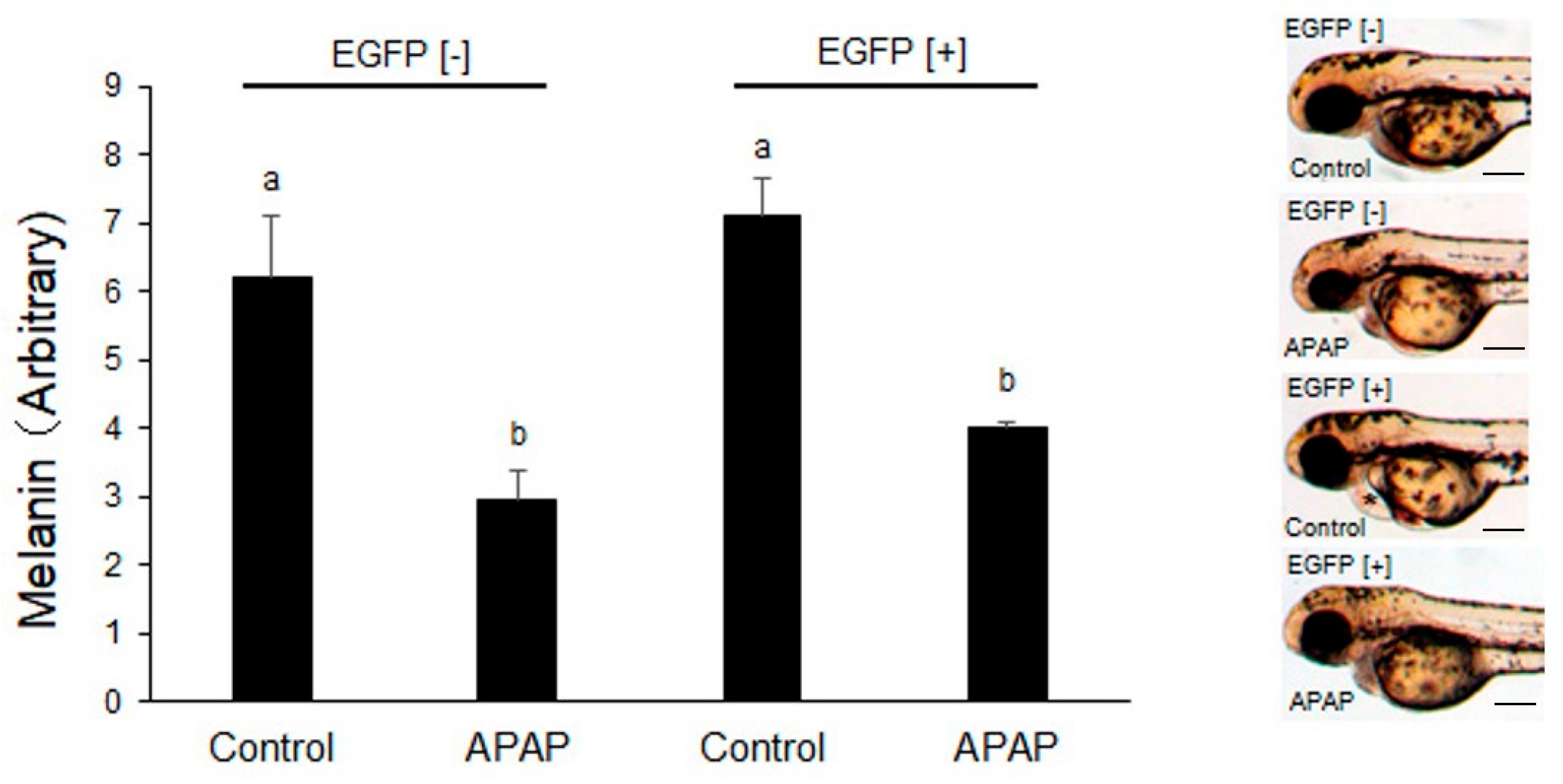 Ijms 24 04013 g002 Ijms 24 04013 g002