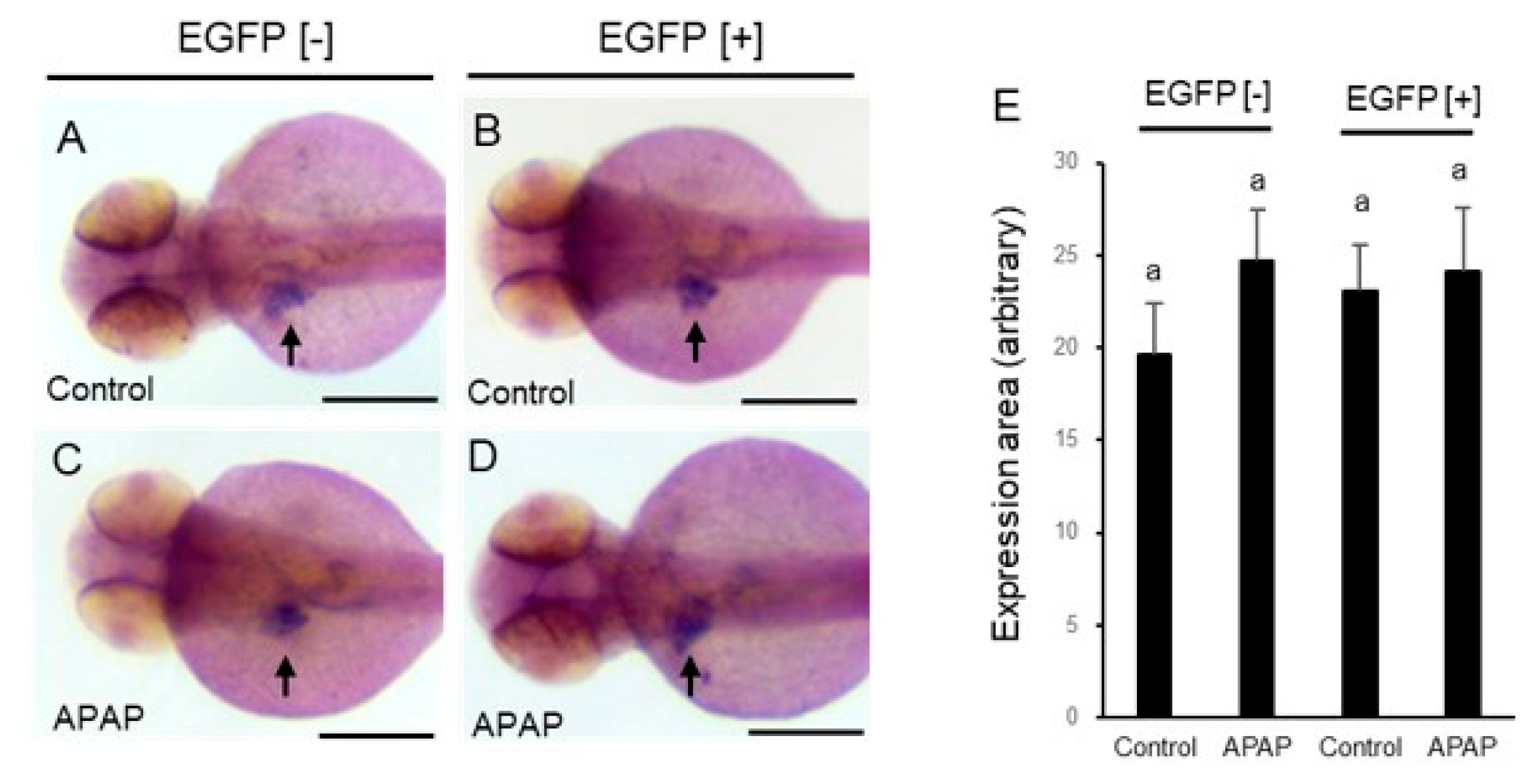 Ijms 24 04013 g006 Ijms 24 04013 g006
