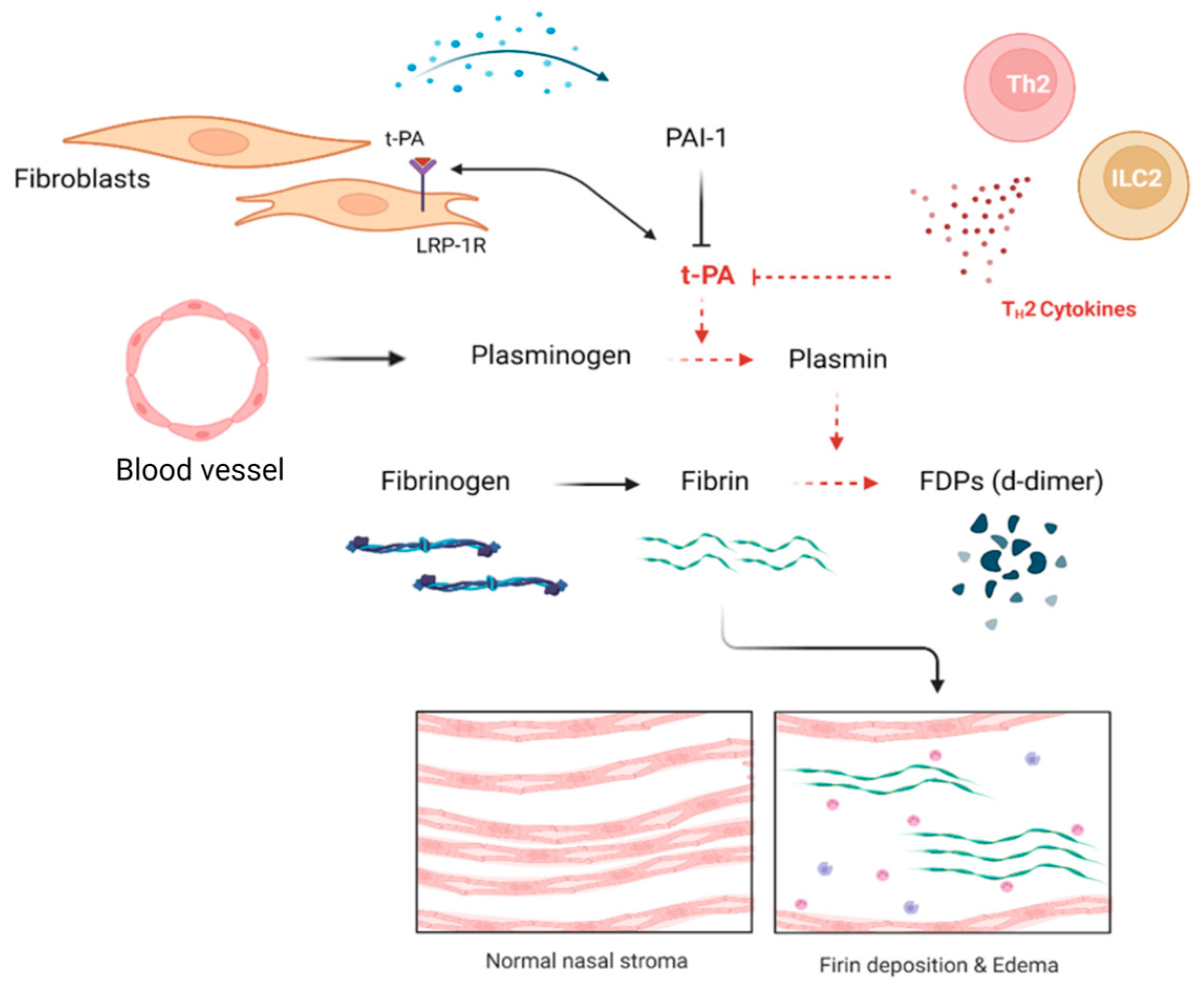 Ijms 24 04017 g003 Ijms 24 04017 g003