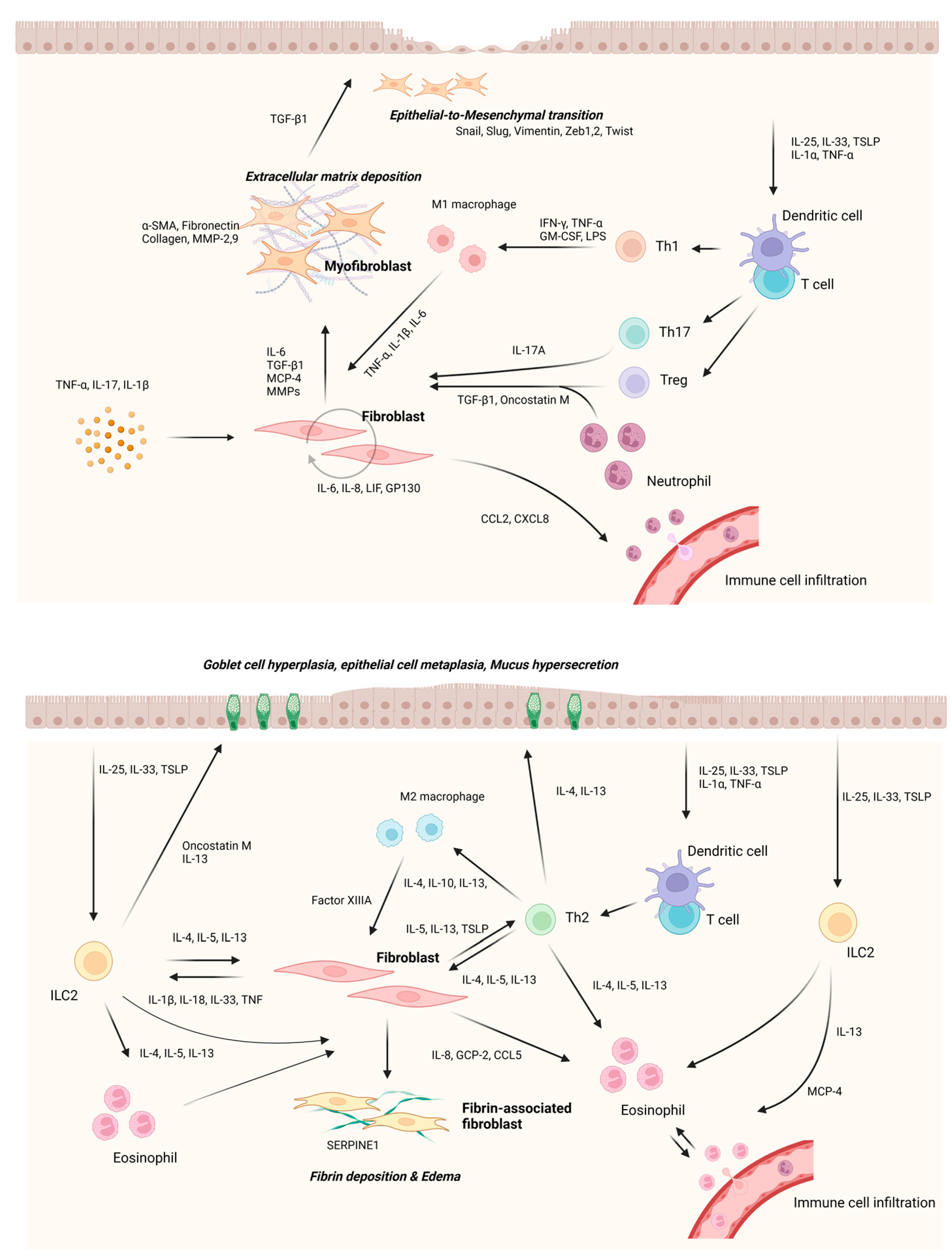 Ijms 24 04017 g004 Ijms 24 04017 g004